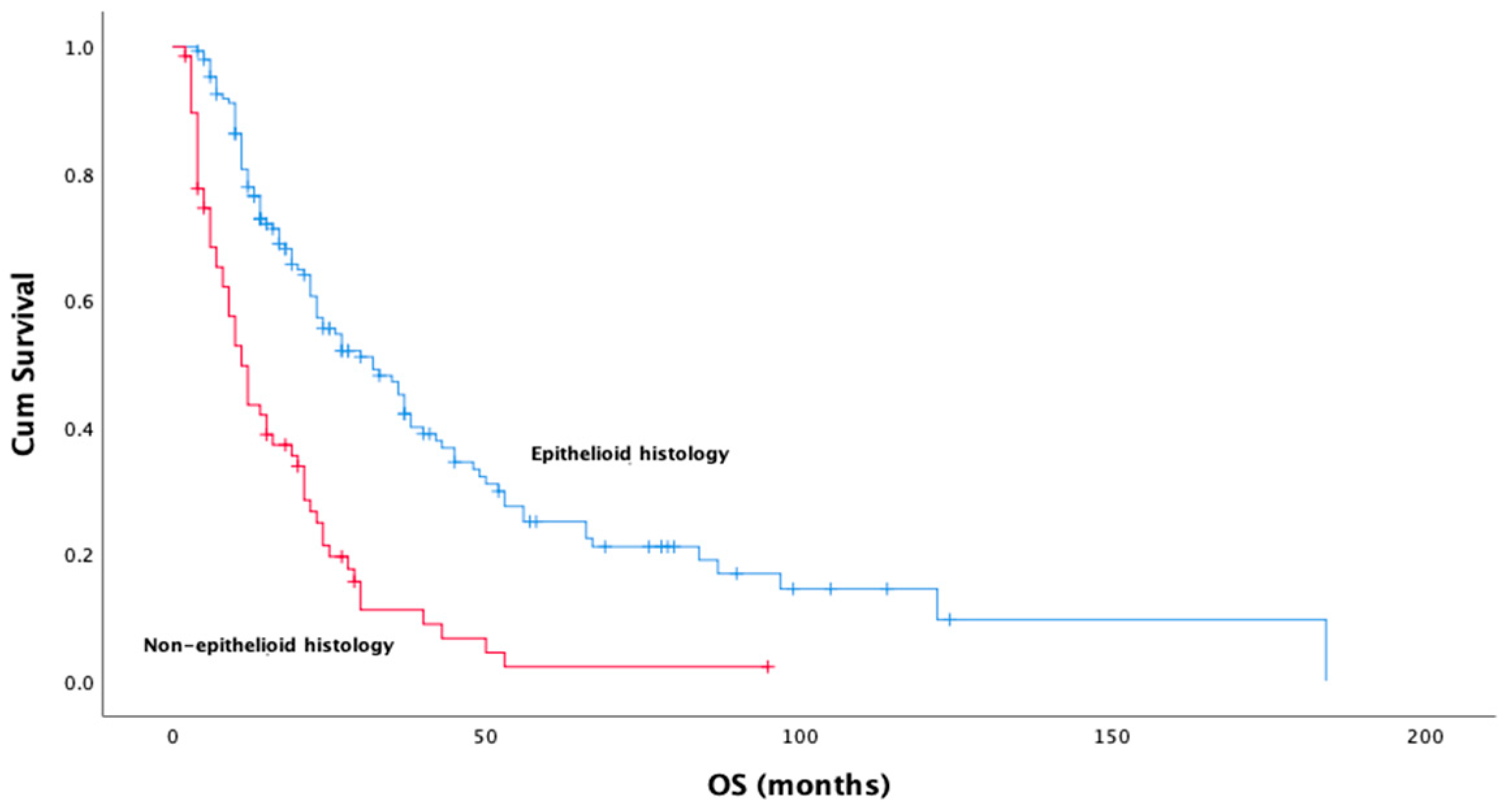 Medicina 61 00144 g002