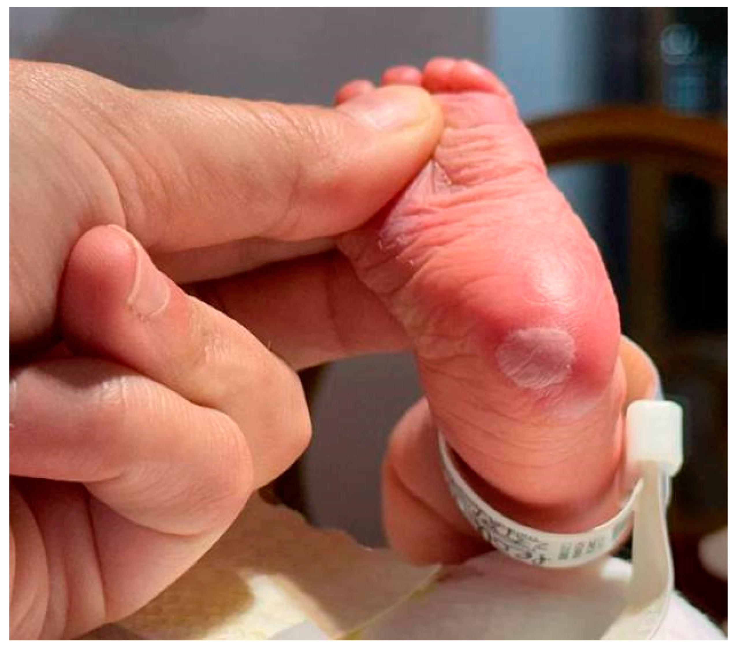 Medicina 61 00158 g002