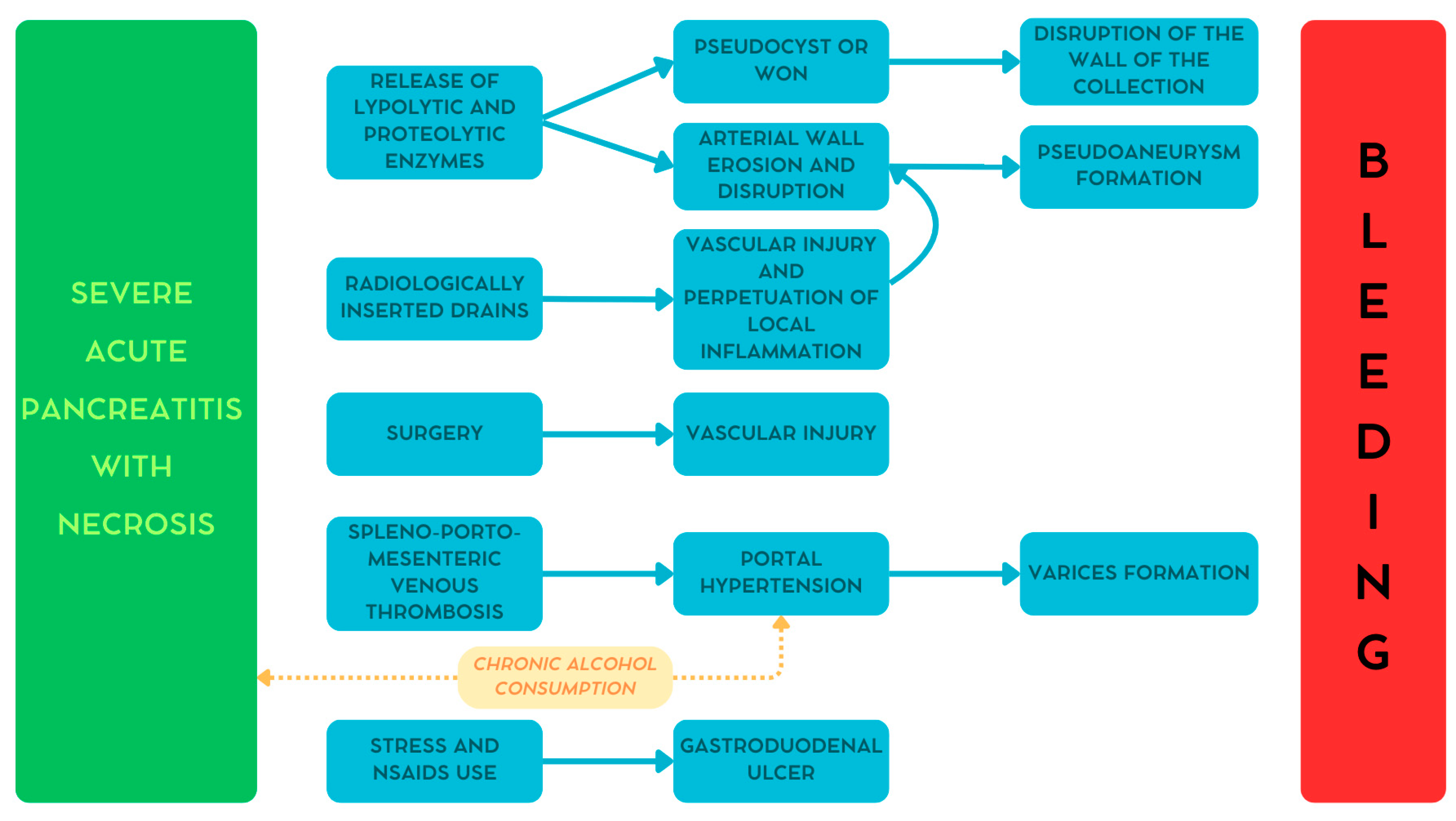 Medicina 61 00164 g001