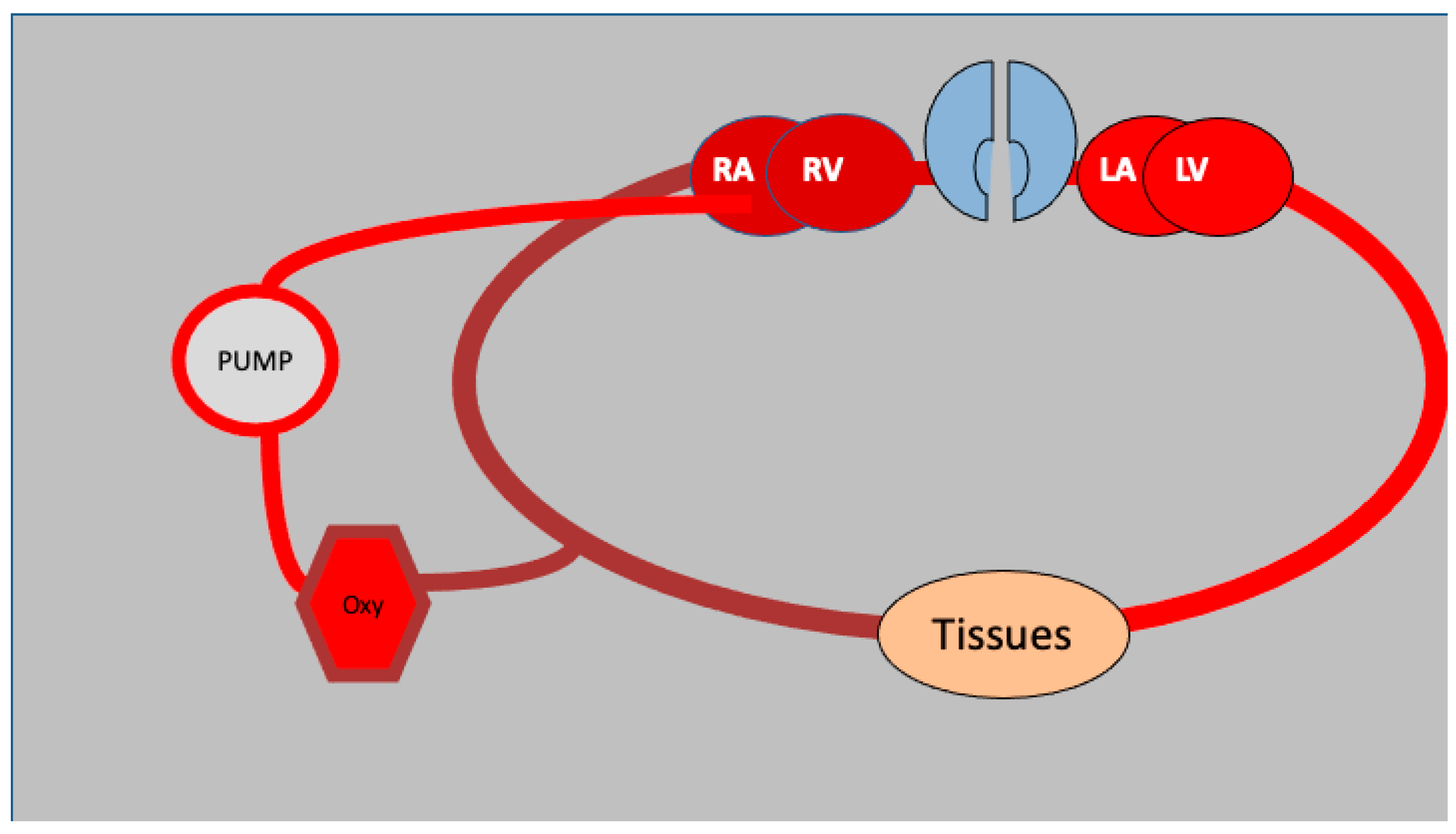 Medicina 61 00174 g002