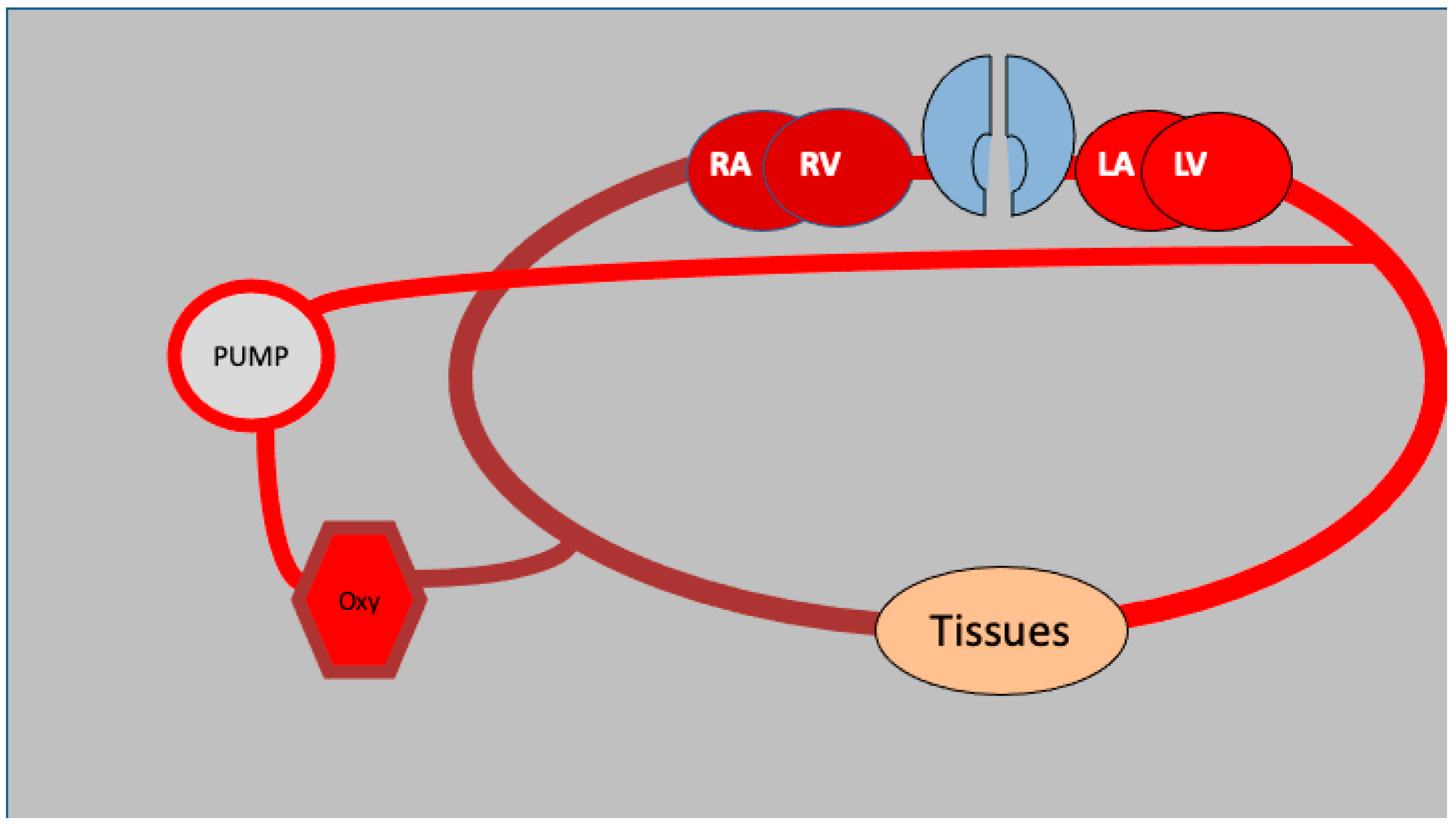 Medicina 61 00174 g003