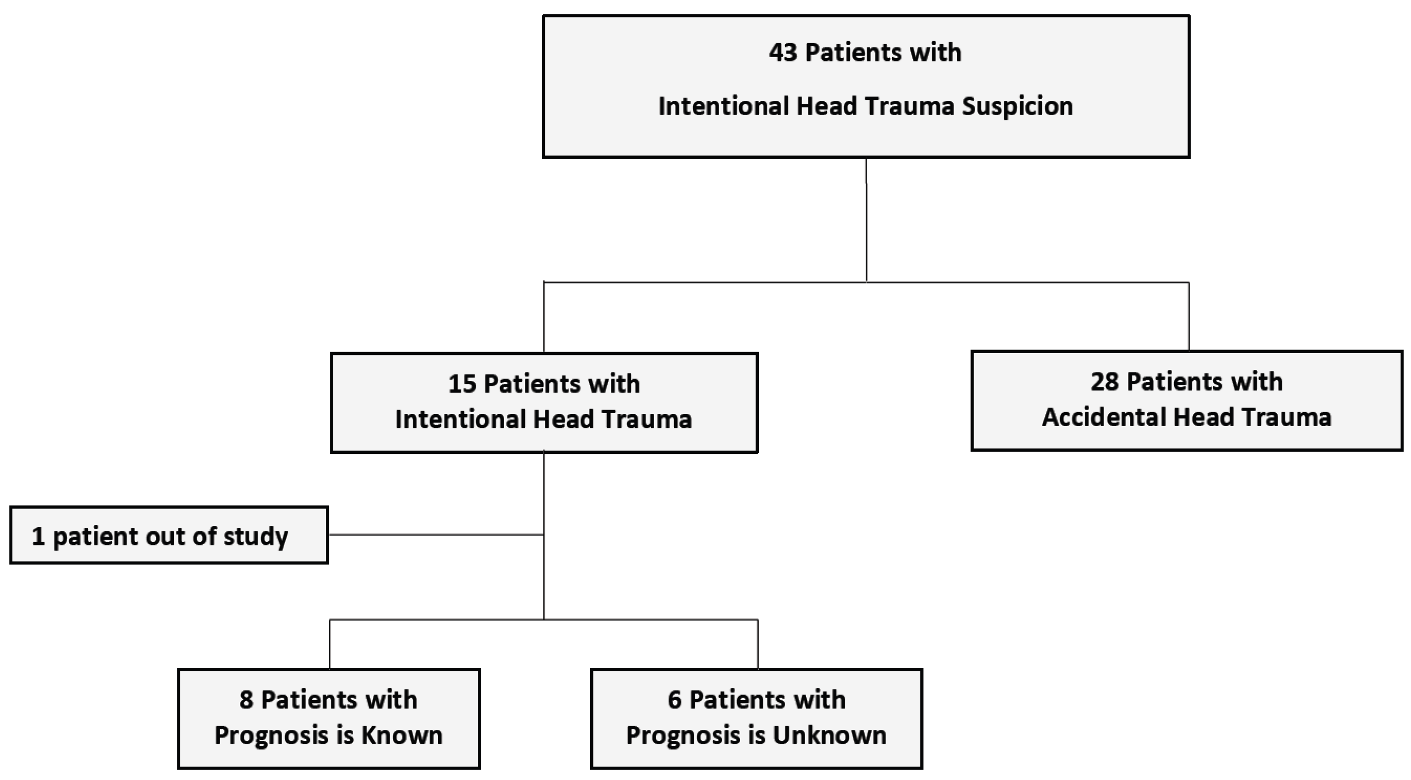 Medicina 61 00176 g001