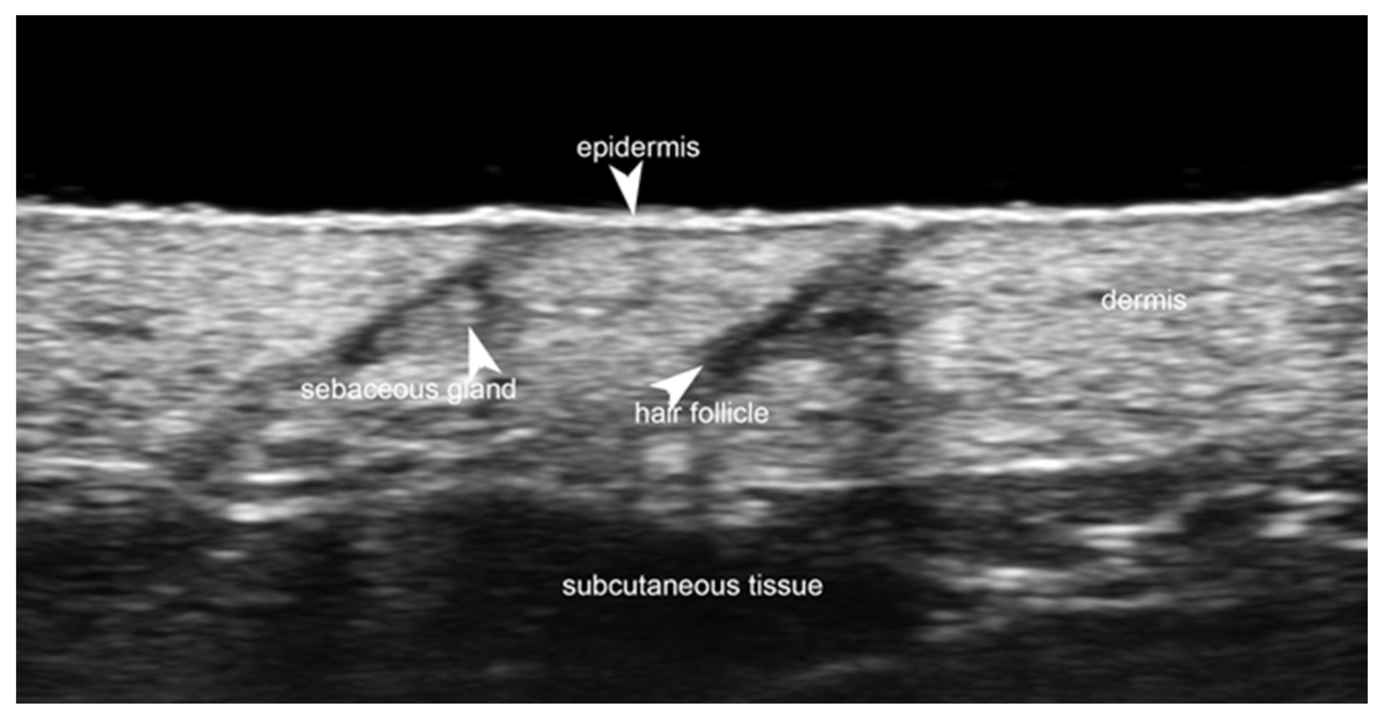 Medicina 61 00220 g001