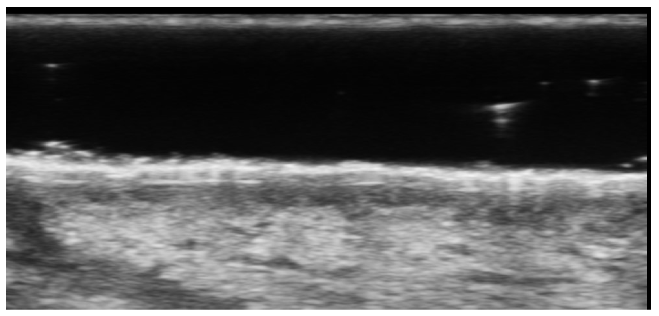 Medicina 61 00220 g007