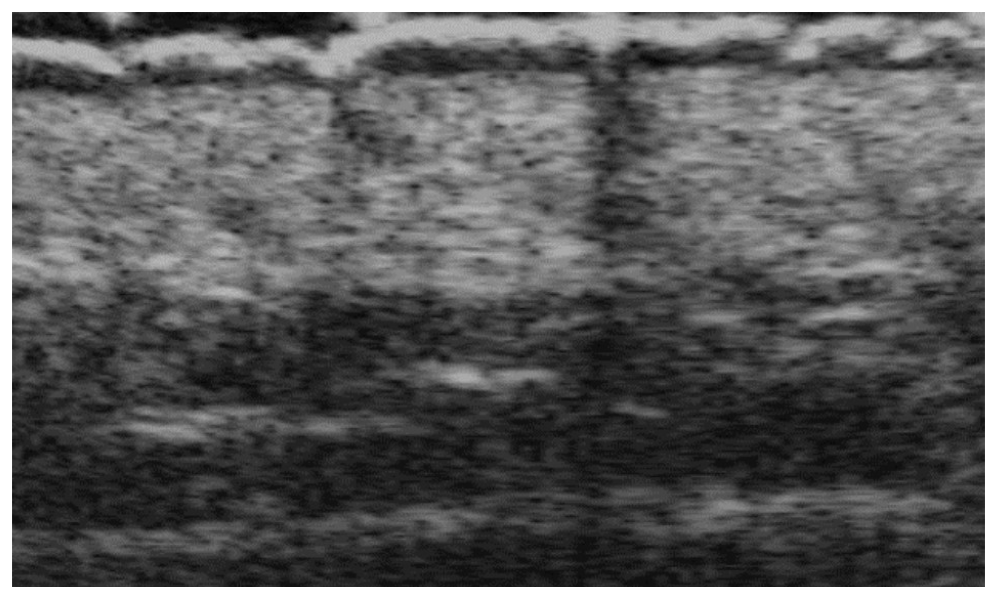 Medicina 61 00220 g008