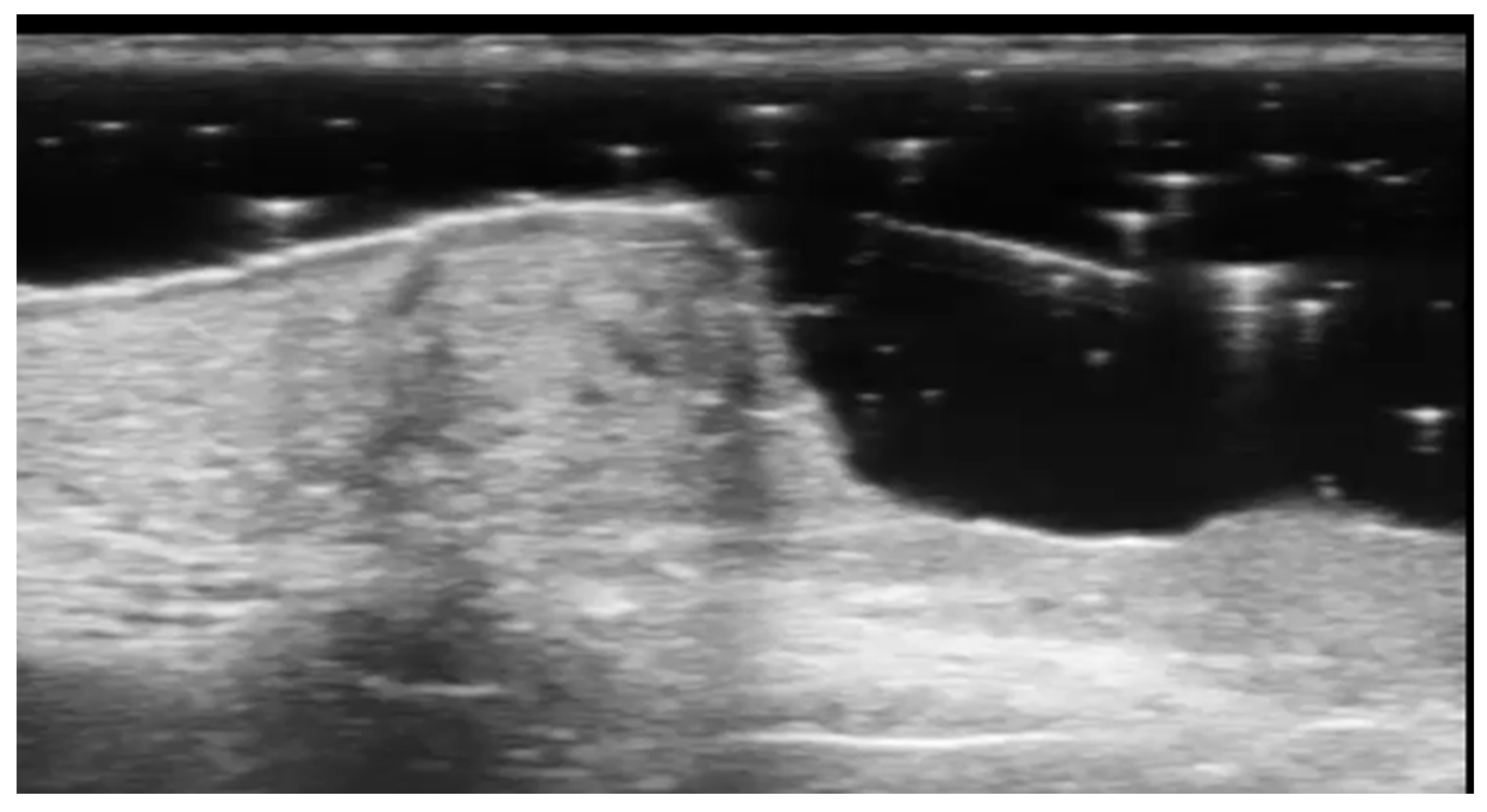 Medicina 61 00220 g009