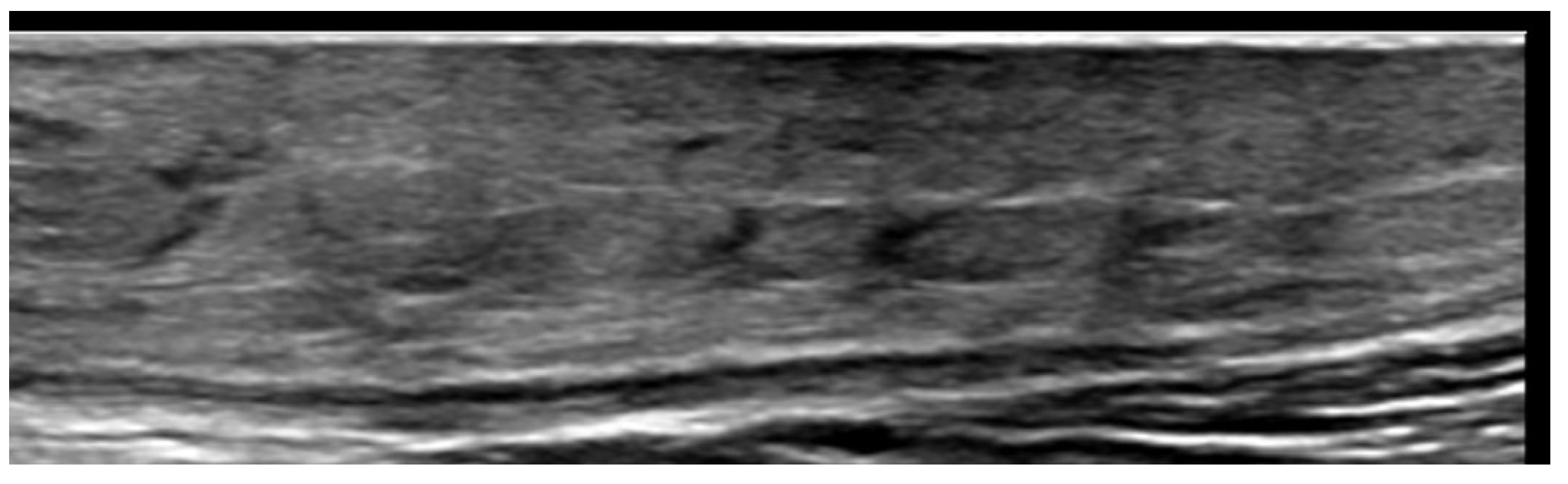 Medicina 61 00220 g012