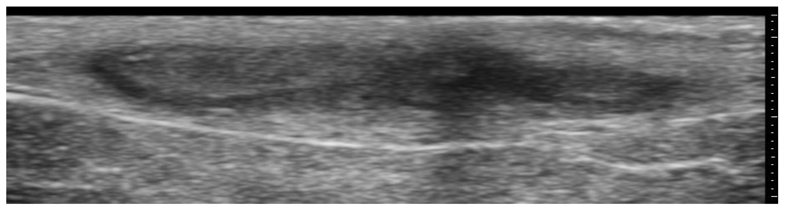 Medicina 61 00220 g018