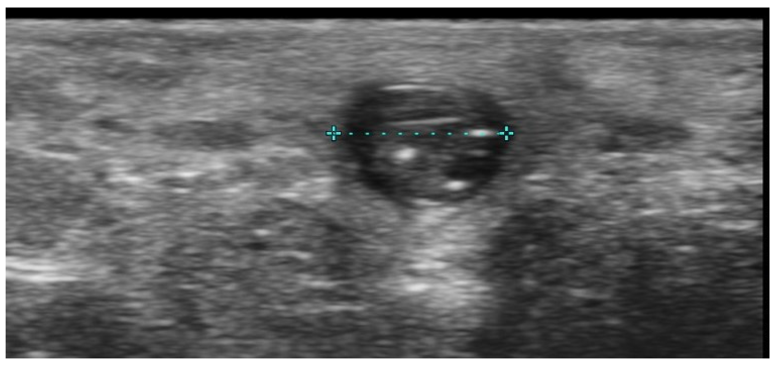 Medicina 61 00220 g019