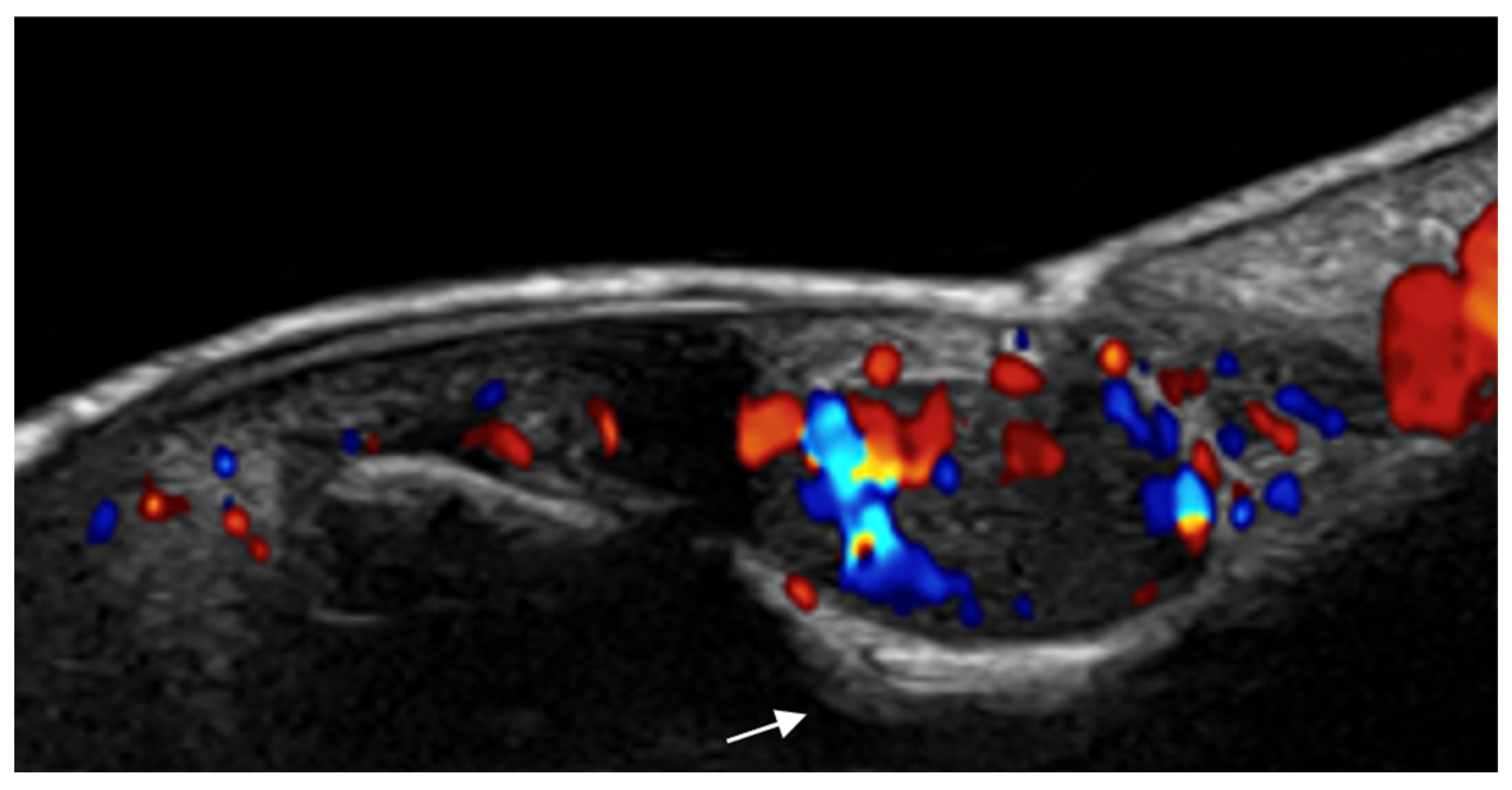 Medicina 61 00220 g026