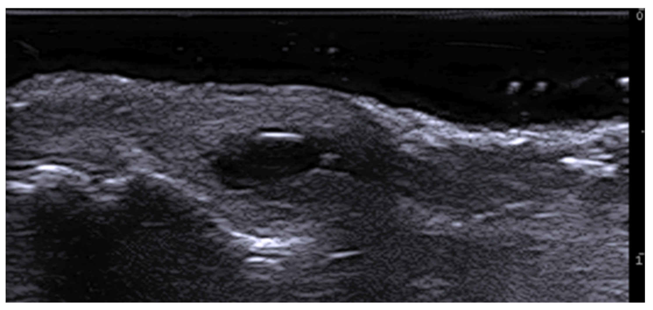 Medicina 61 00220 g027