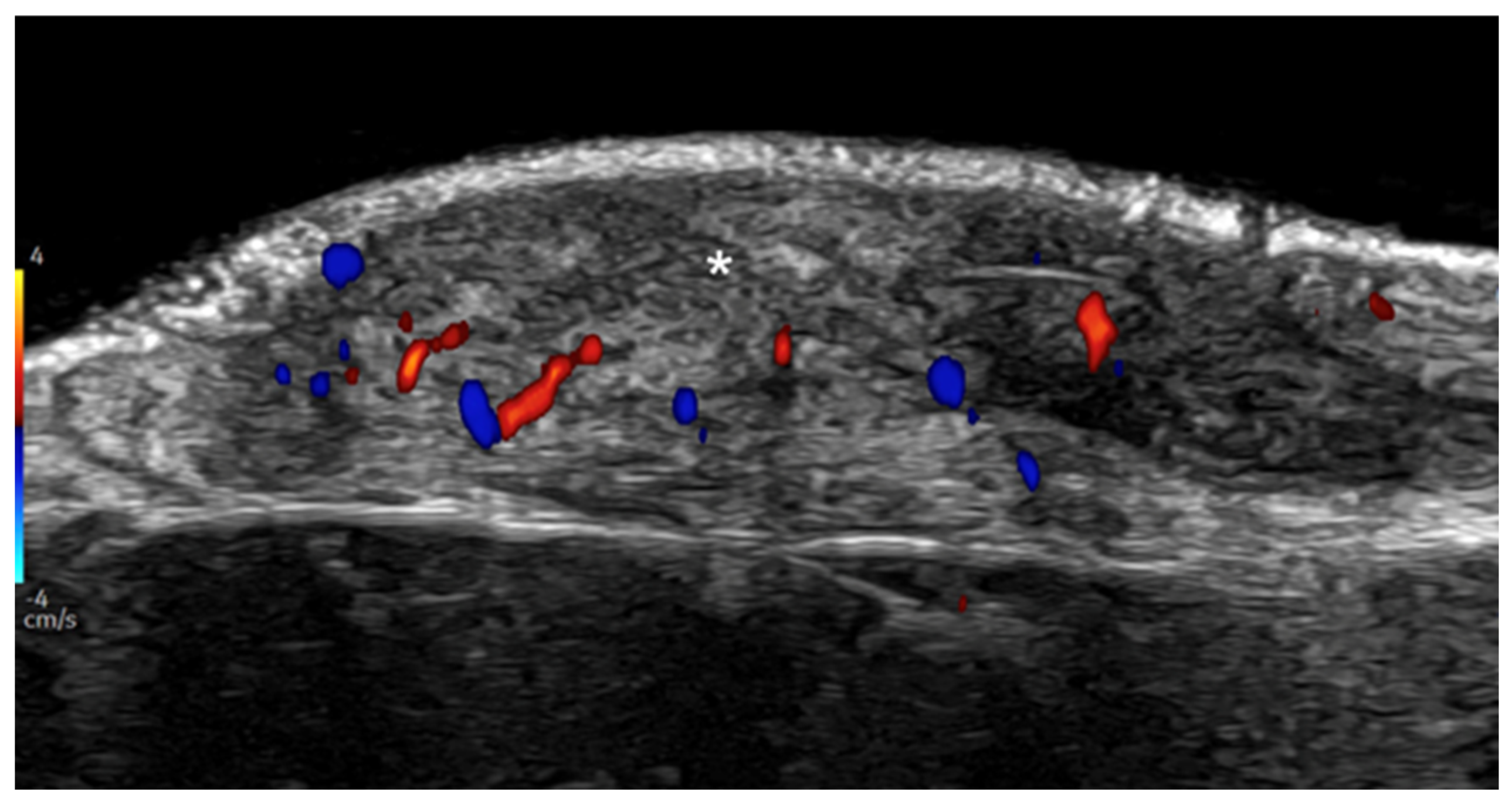 Medicina 61 00220 g030