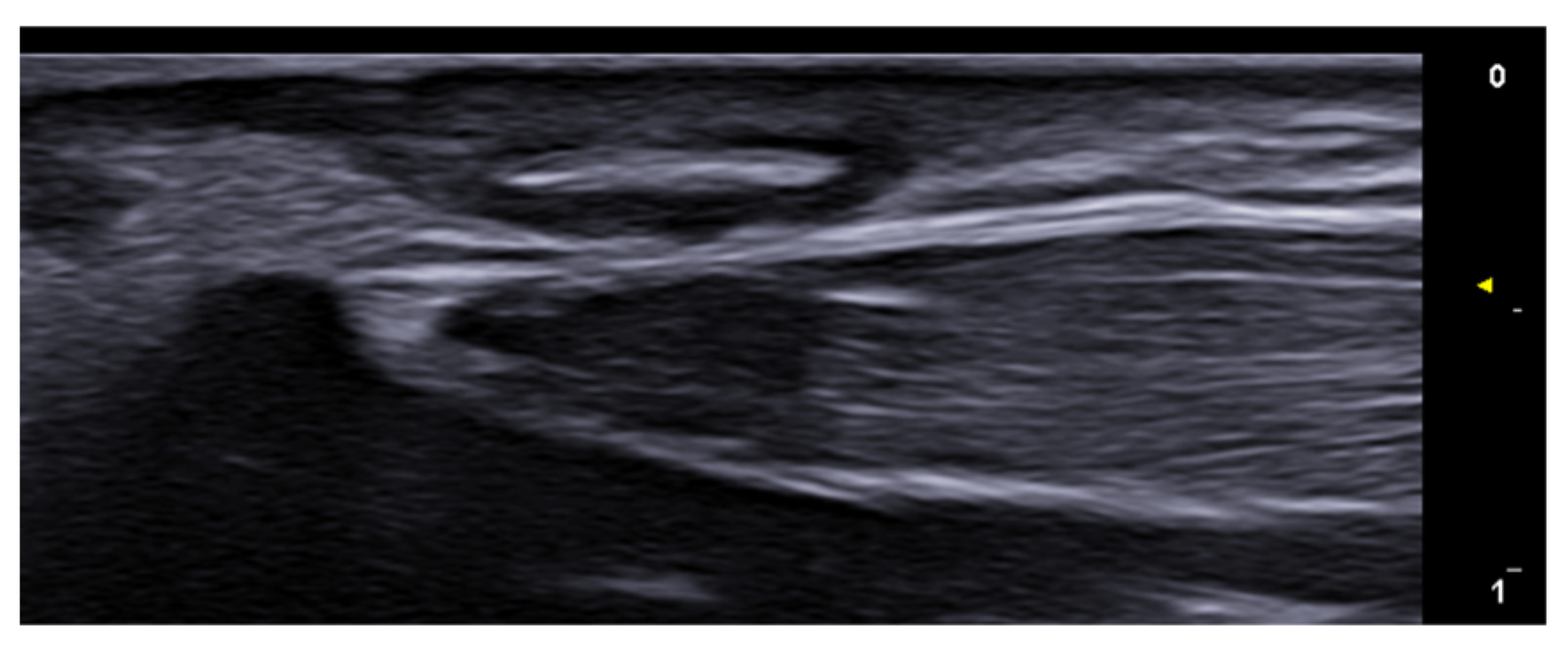 Medicina 61 00220 g031