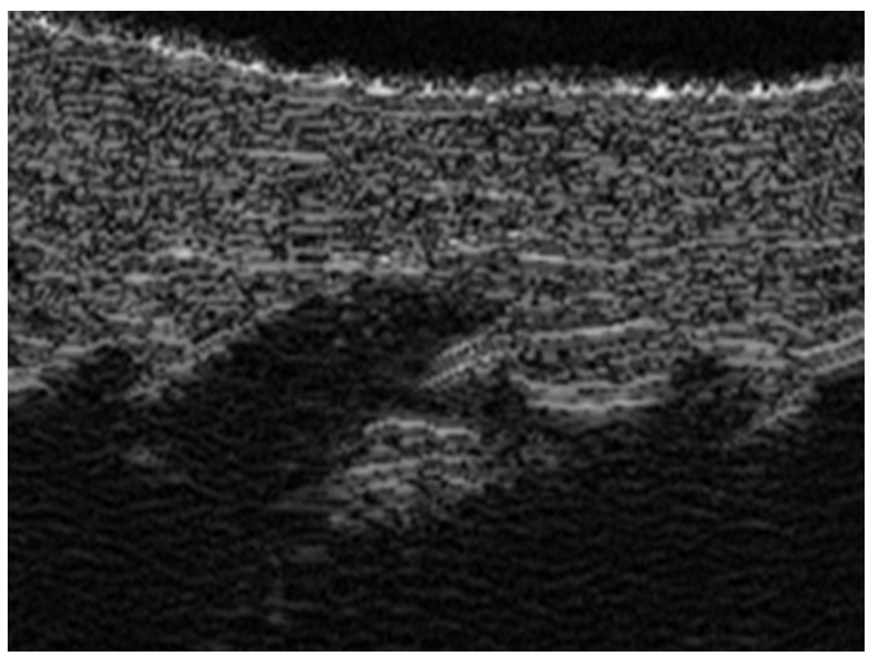 Medicina 61 00220 g046
