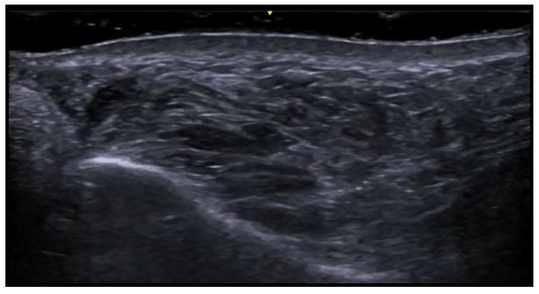 Medicina 61 00220 g048