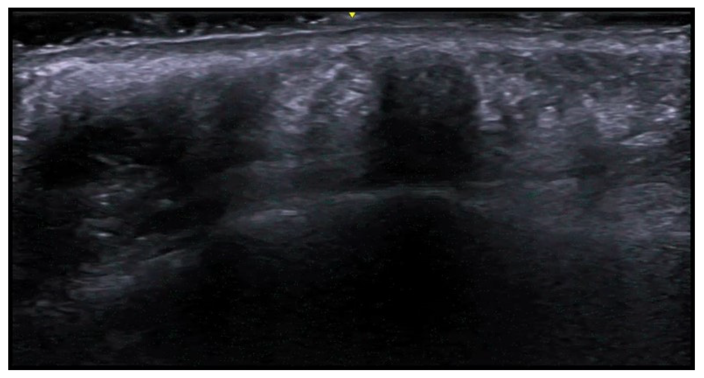 Medicina 61 00220 g049