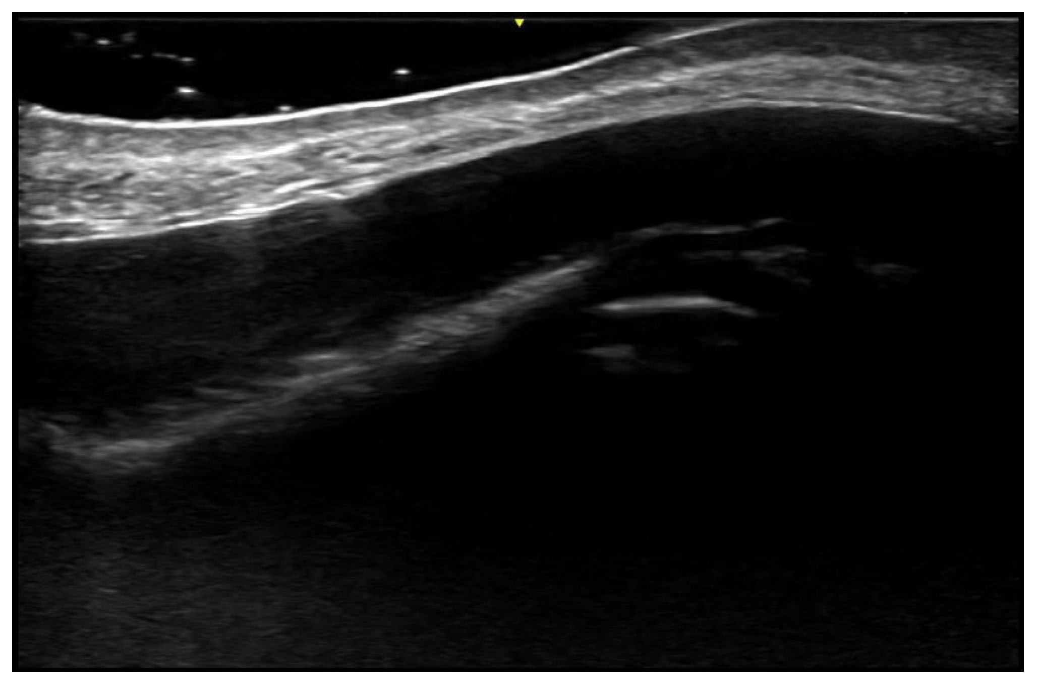 Medicina 61 00220 g050