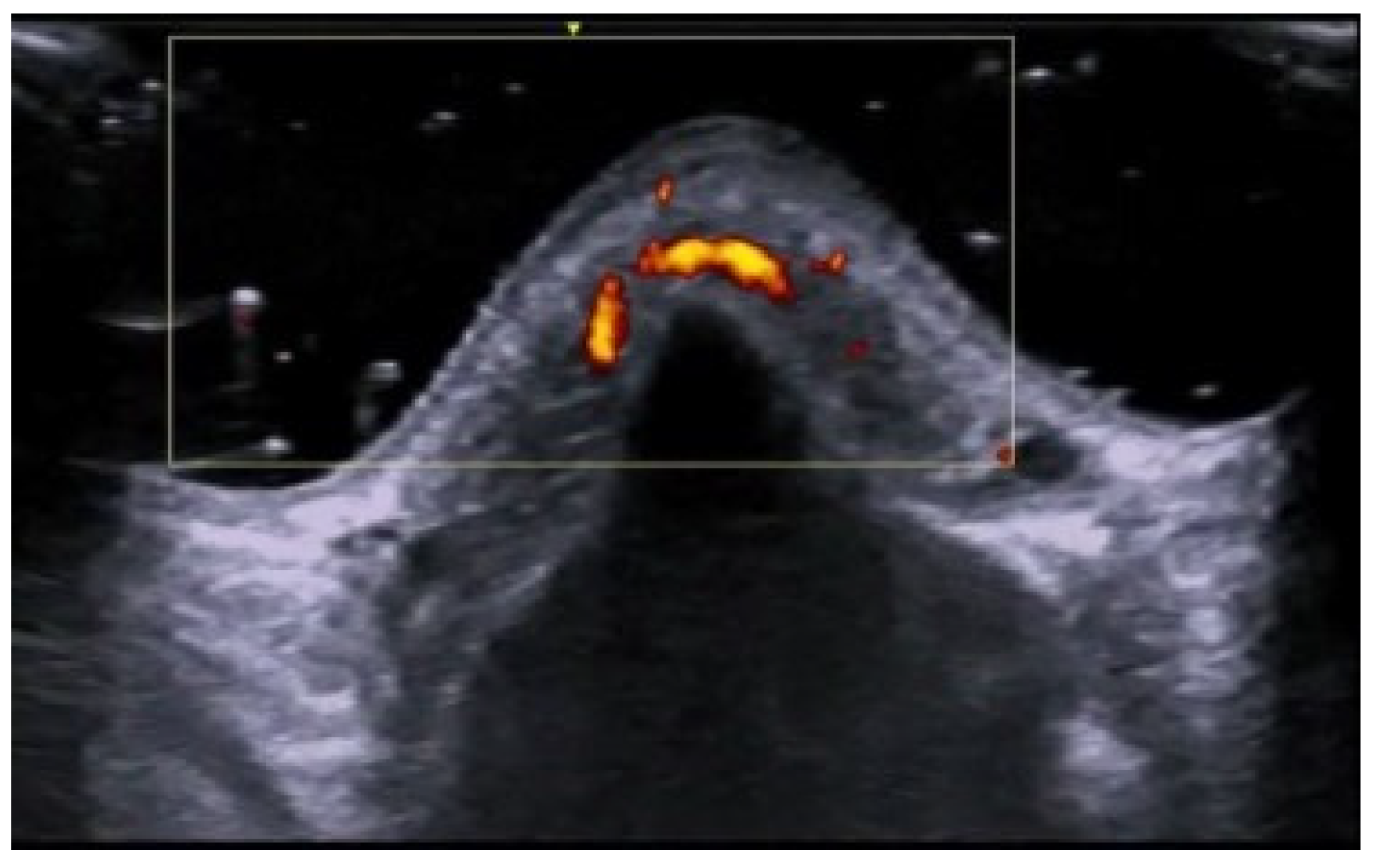 Medicina 61 00220 g053