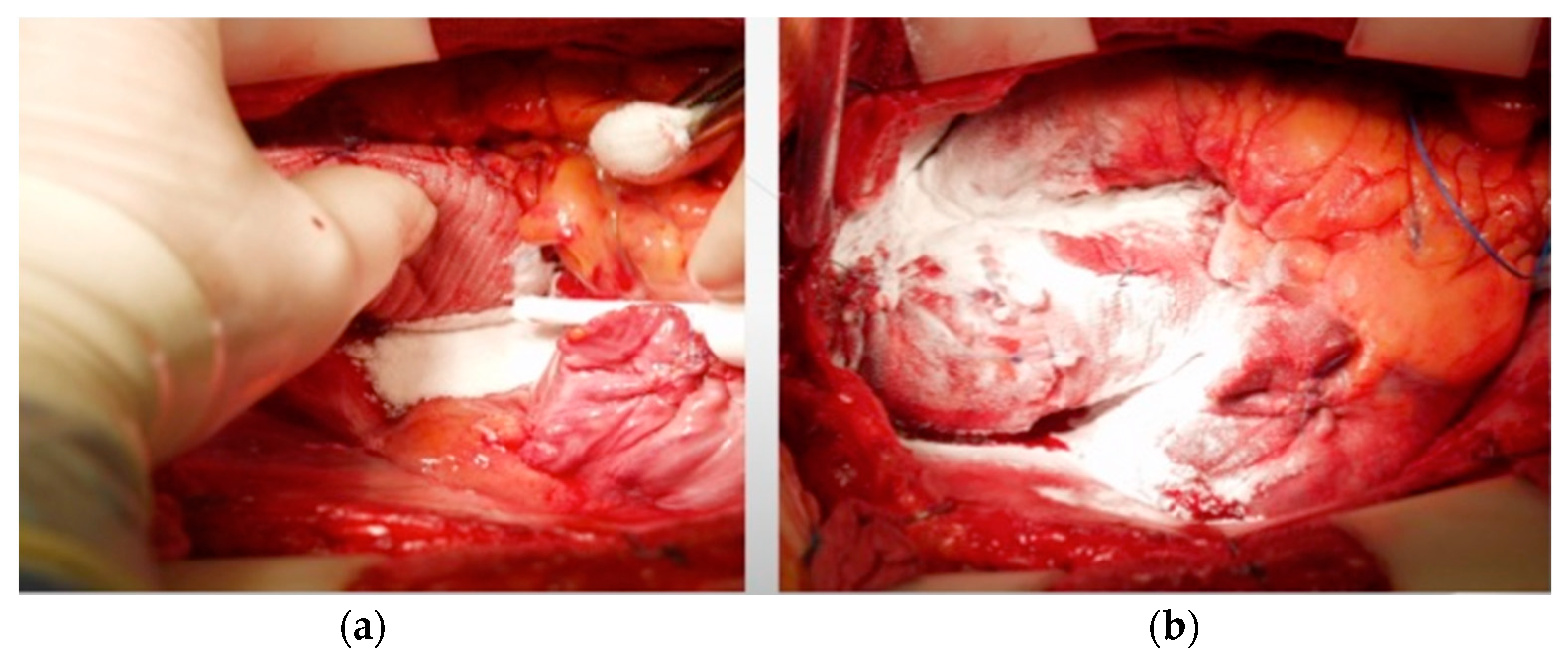 Medicina 61 00230 g002