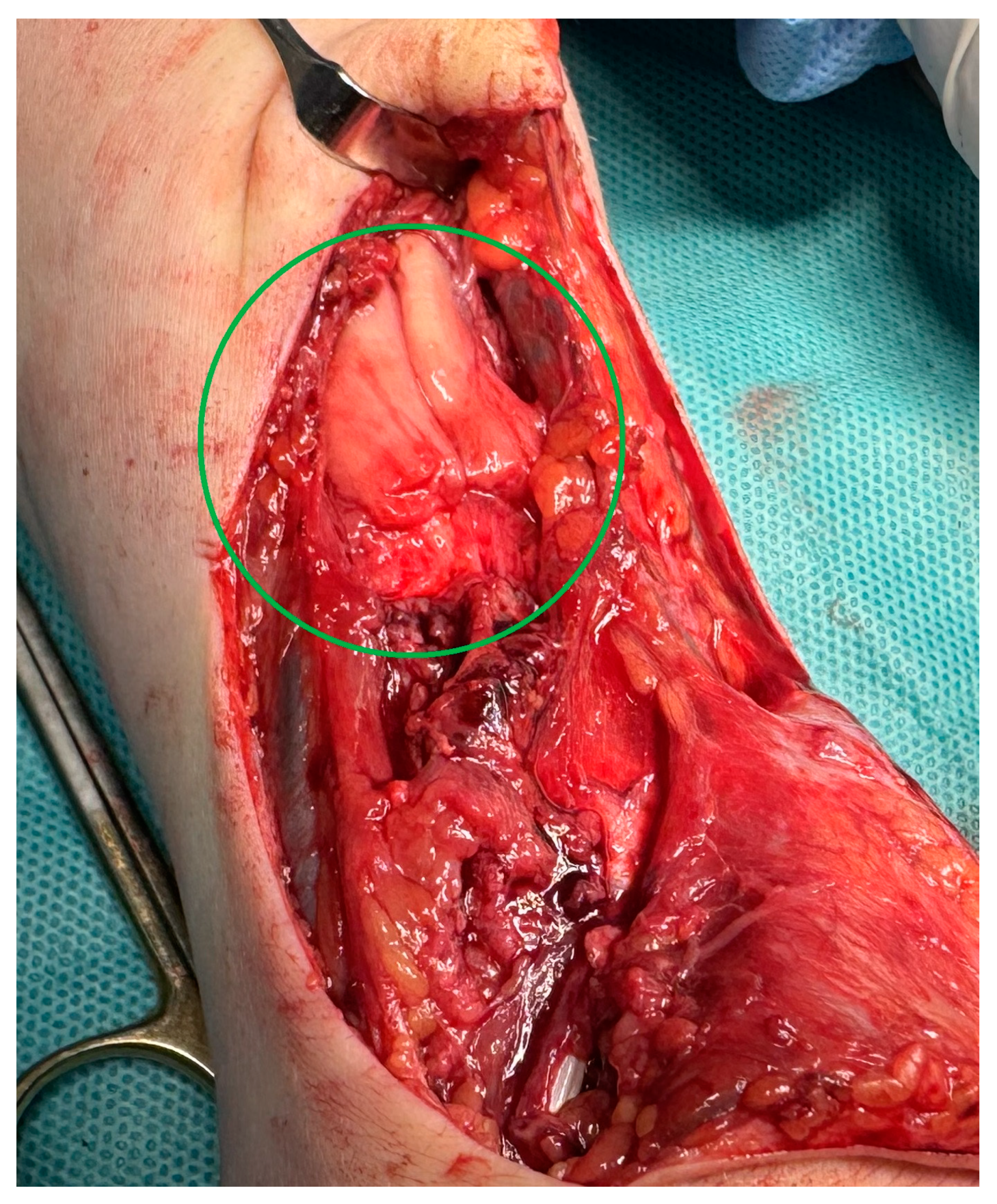 Medicina 61 00249 g003