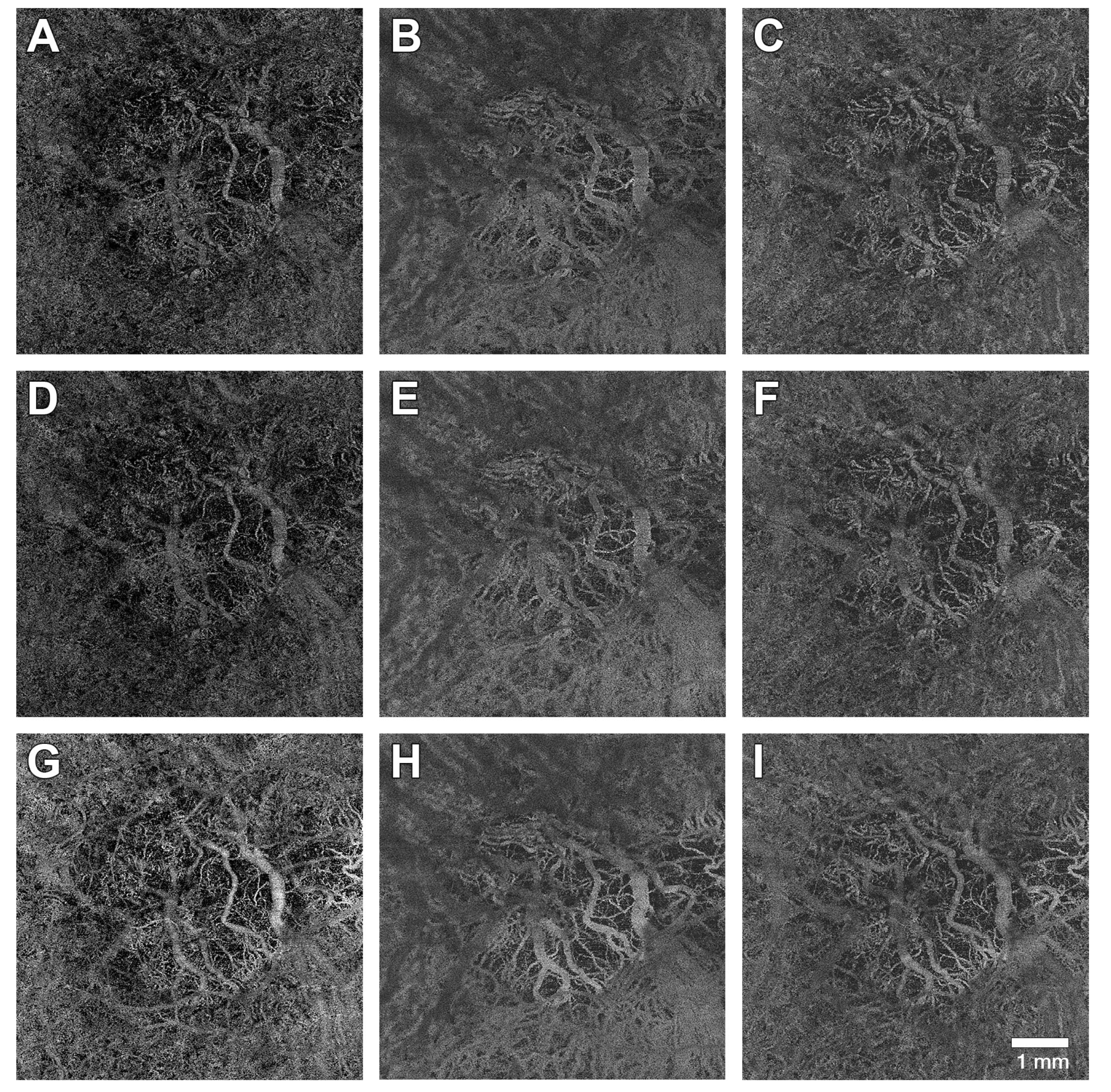 Medicina 61 00260 g001