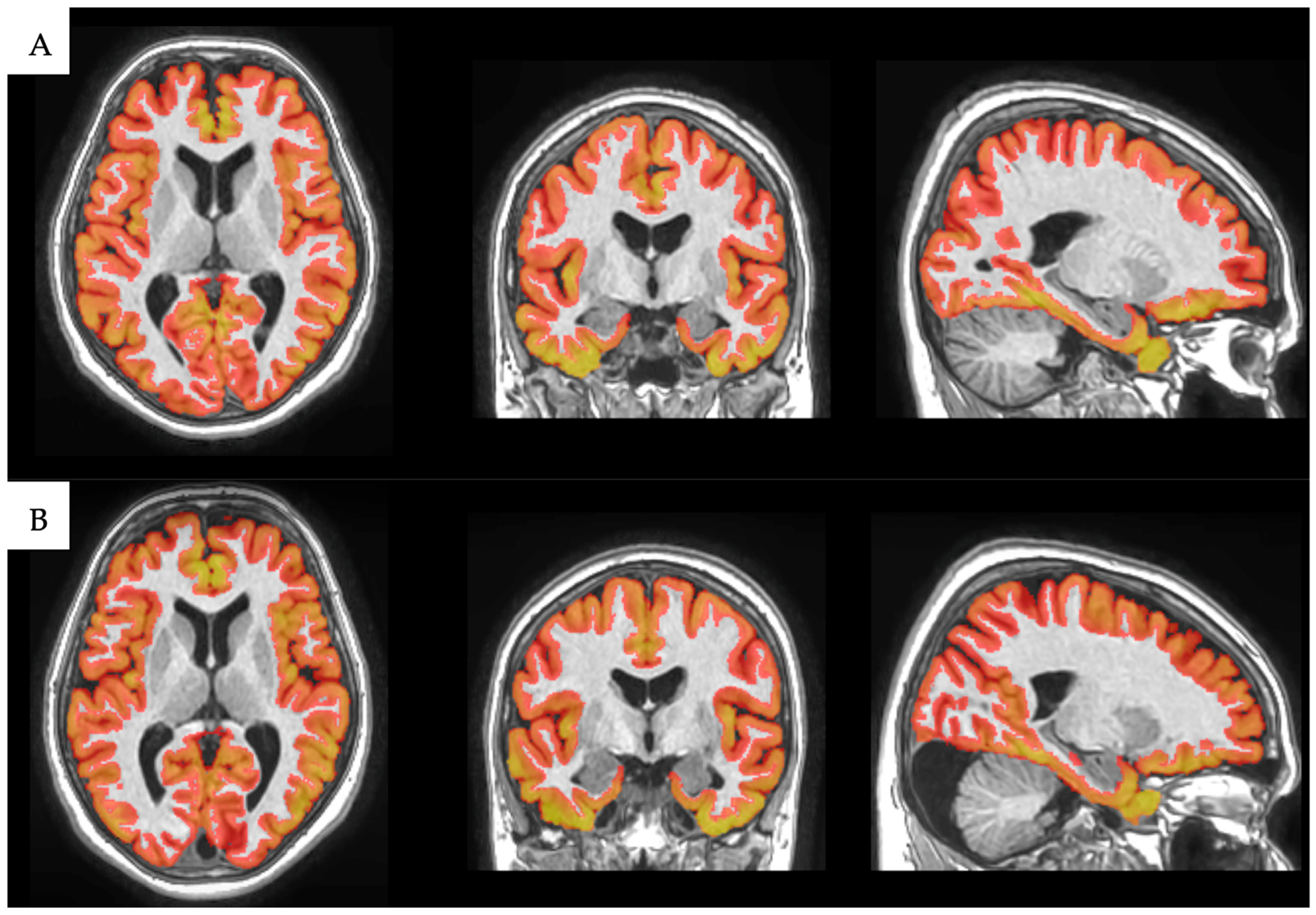 Medicina 61 00261 g002