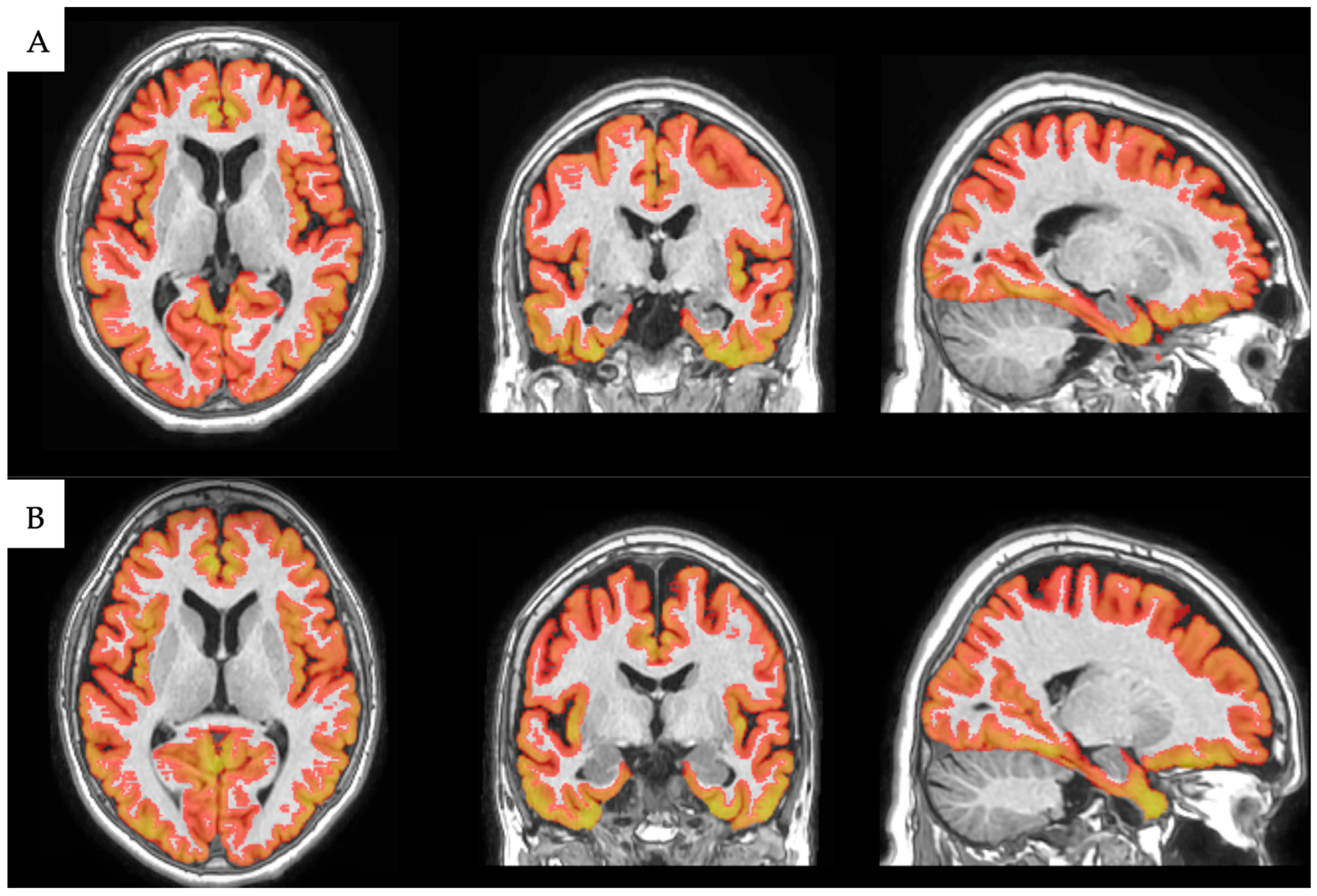 Medicina 61 00261 g003