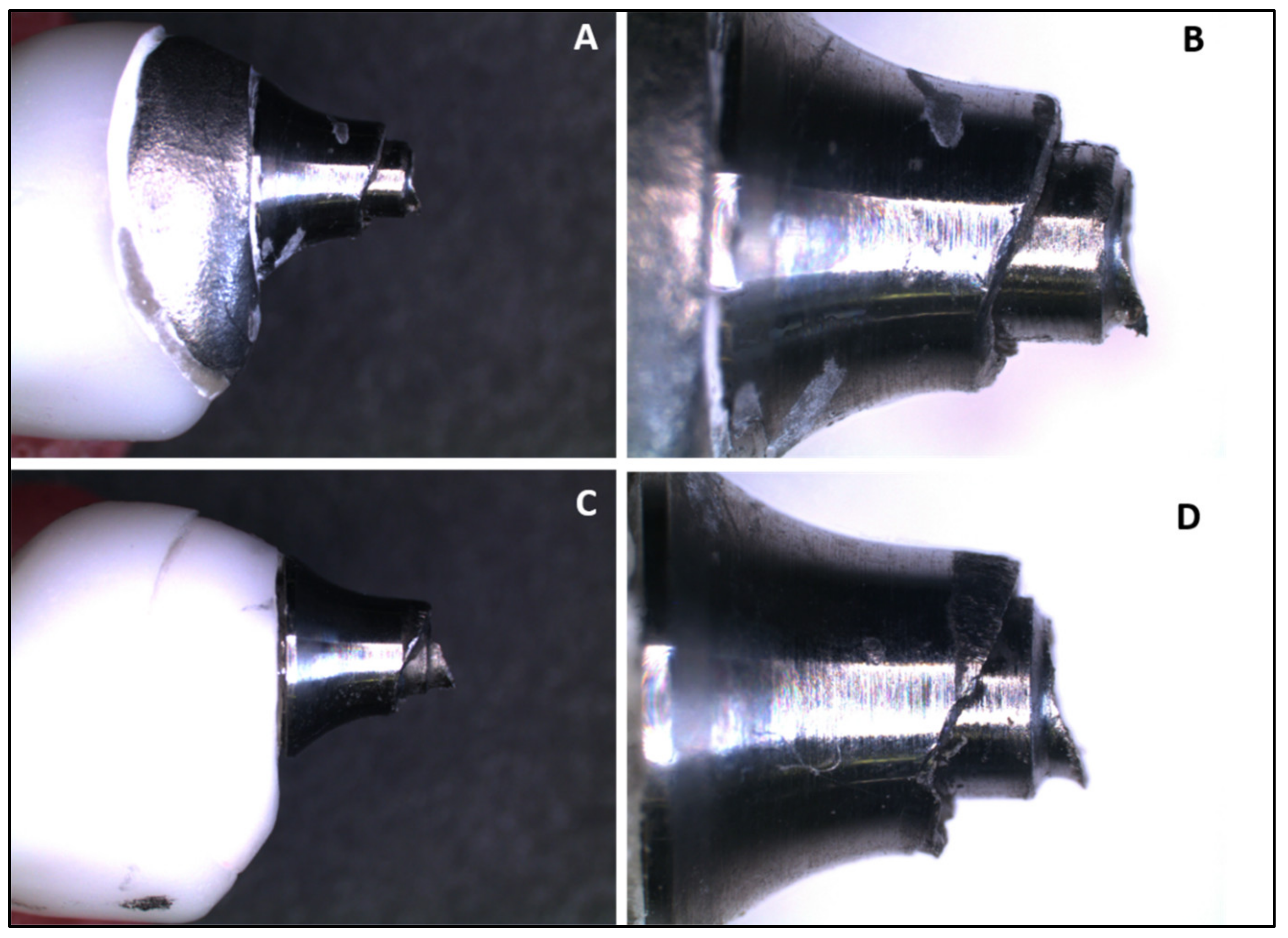 Medicina 61 00274 g002