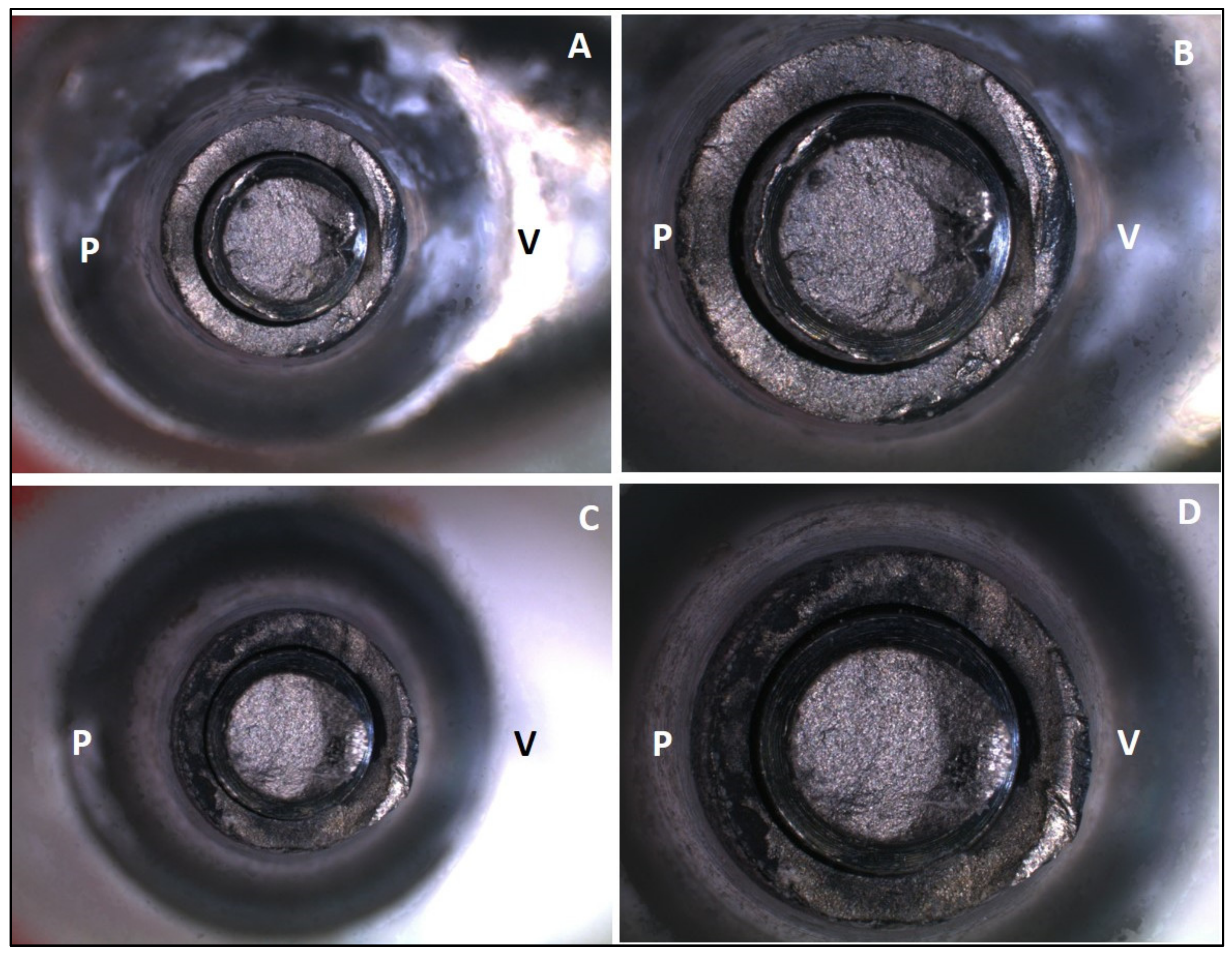 Medicina 61 00274 g003