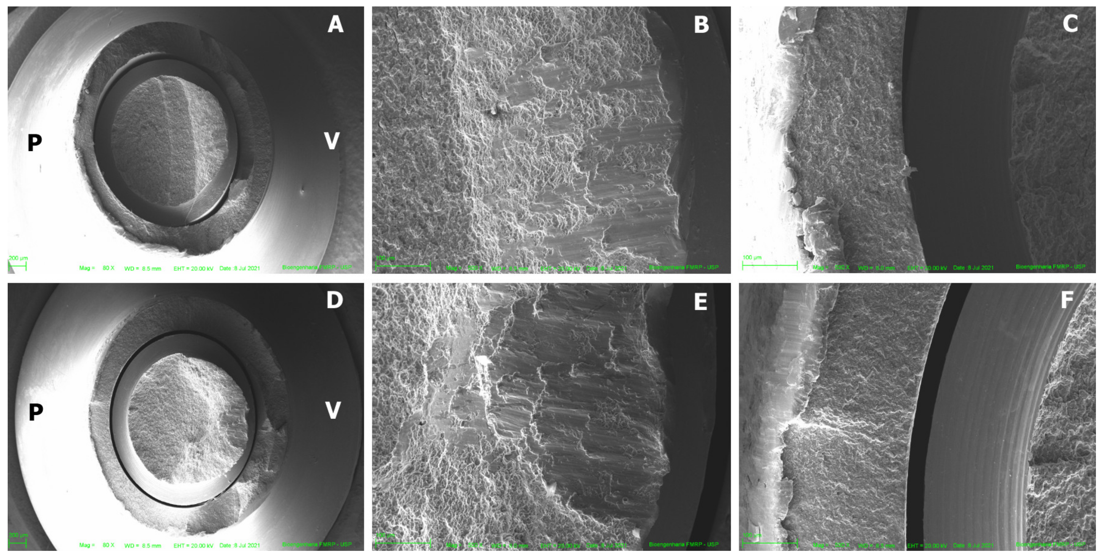 Medicina 61 00274 g004