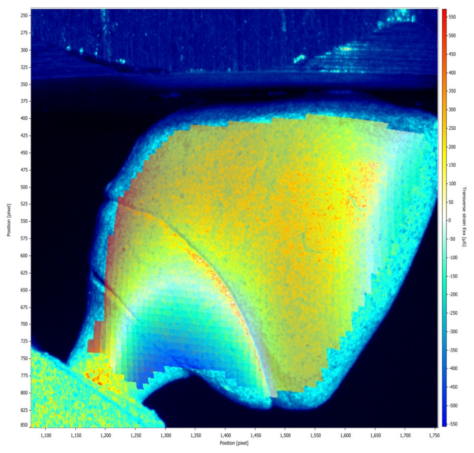 Medicina 61 00274 g008