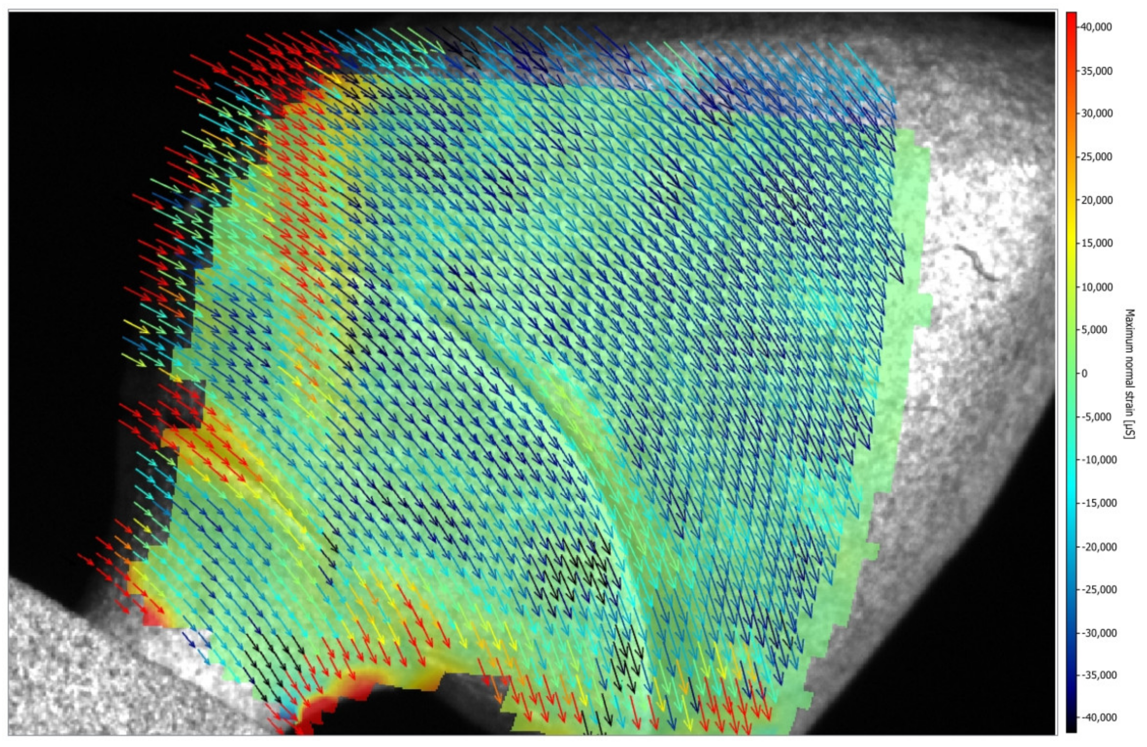 Medicina 61 00274 g010