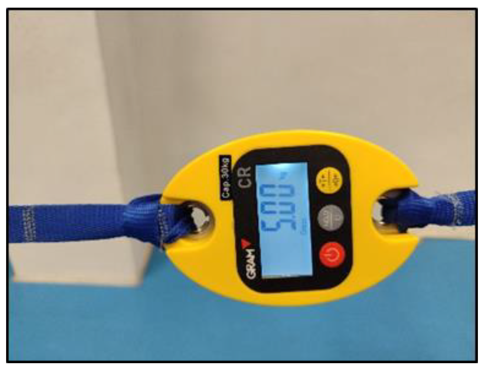 Medicina 61 00312 g002