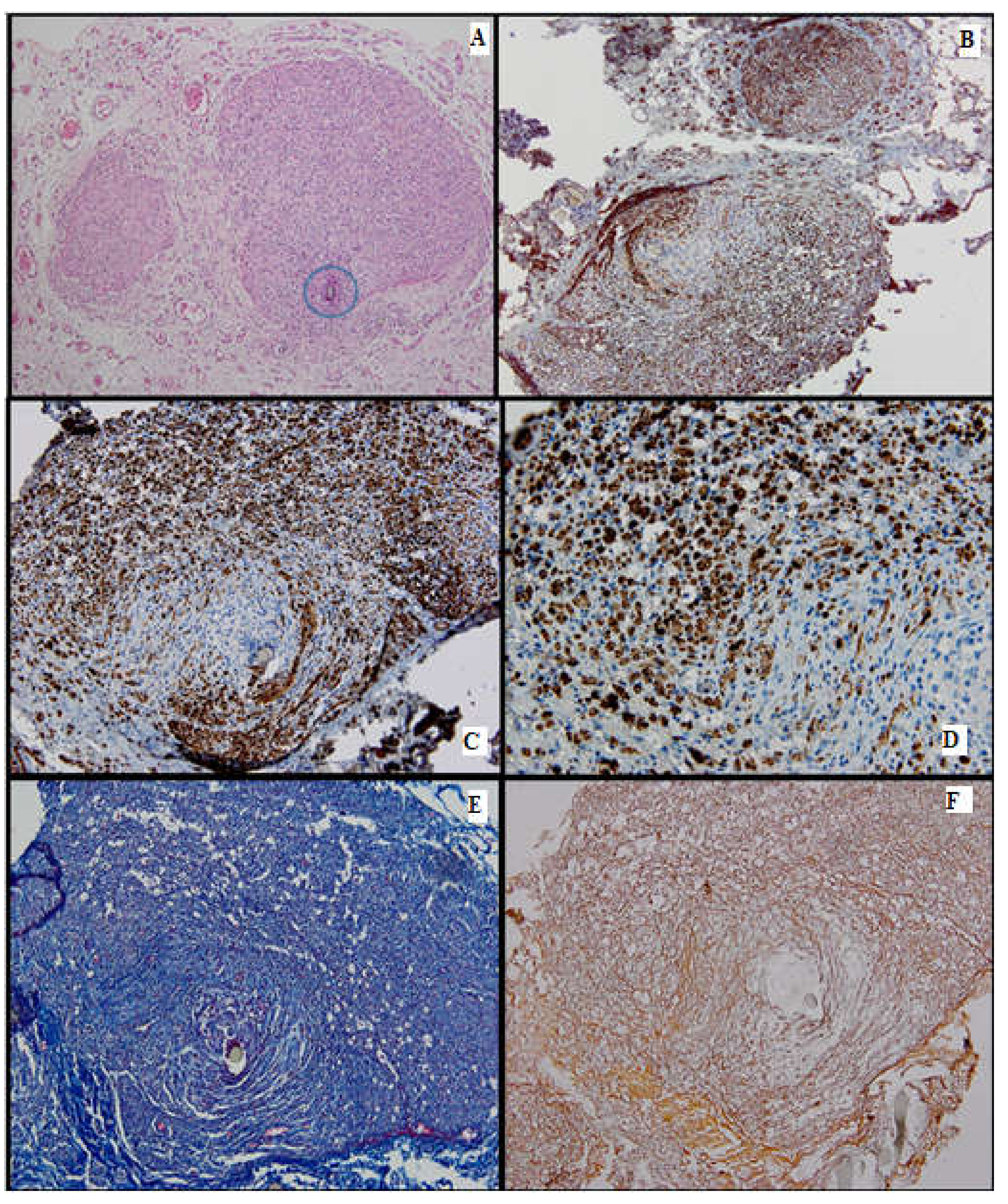 Medicina 61 00317 g003