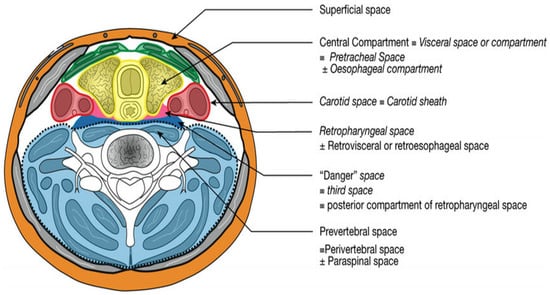 Medicina 61 00325 g001