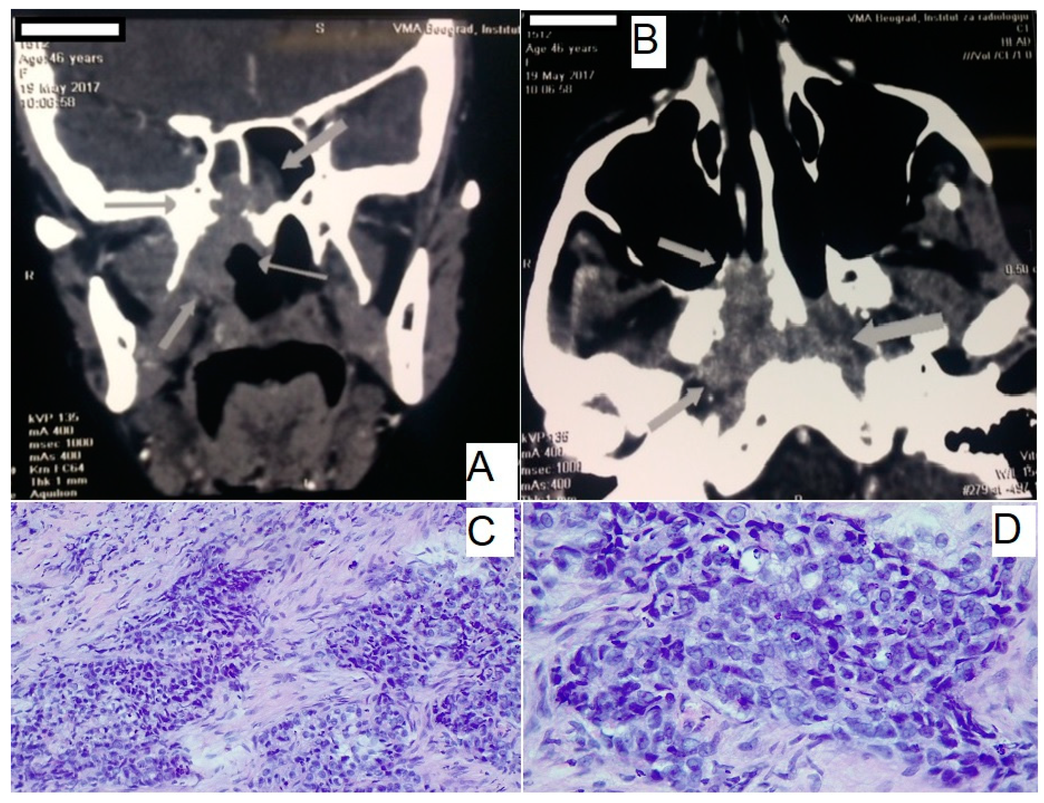 Medicina 61 00334 g002