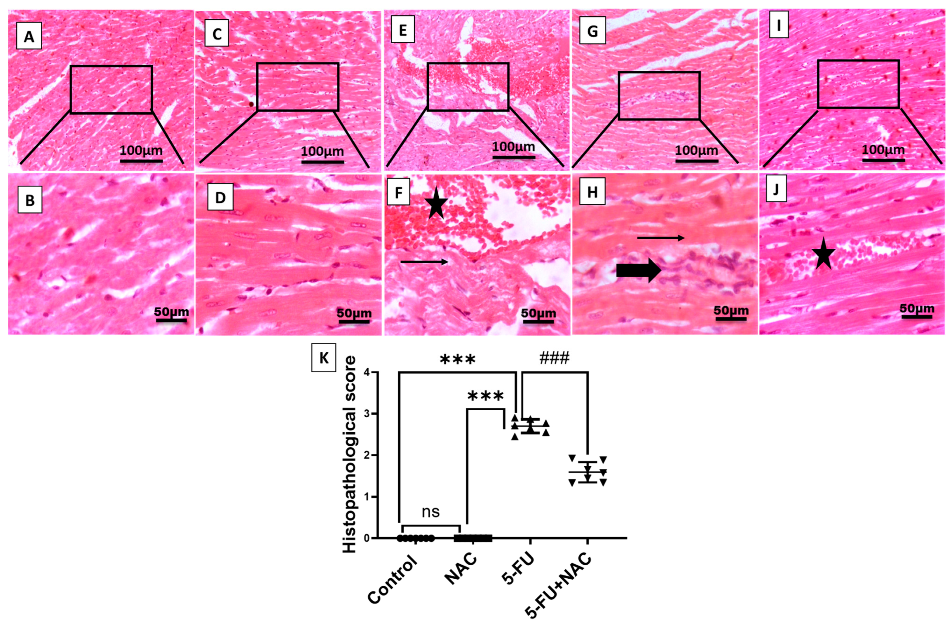 Medicina 61 00335 g002