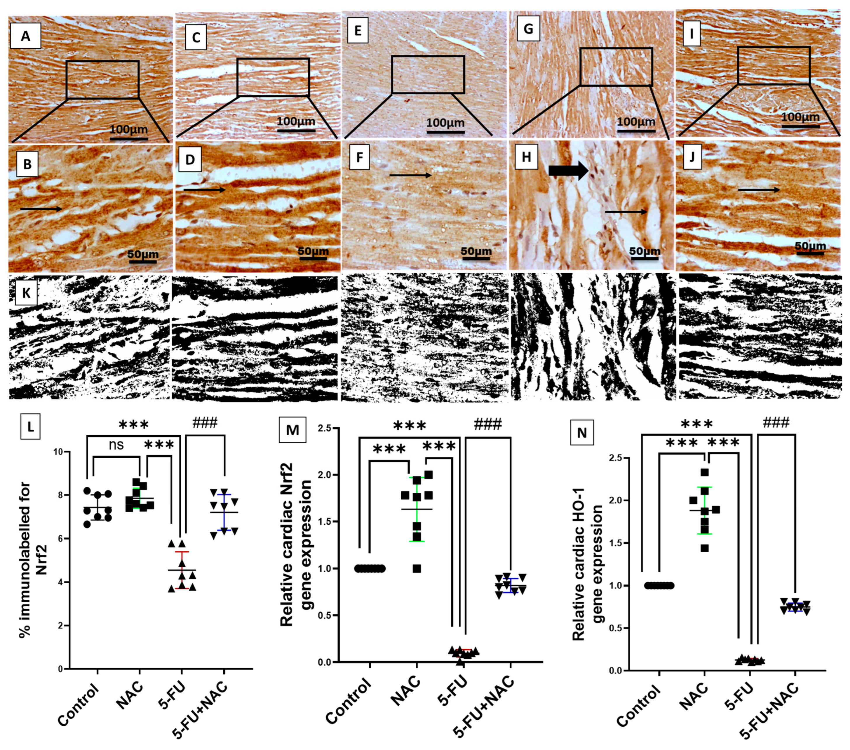 Medicina 61 00335 g004