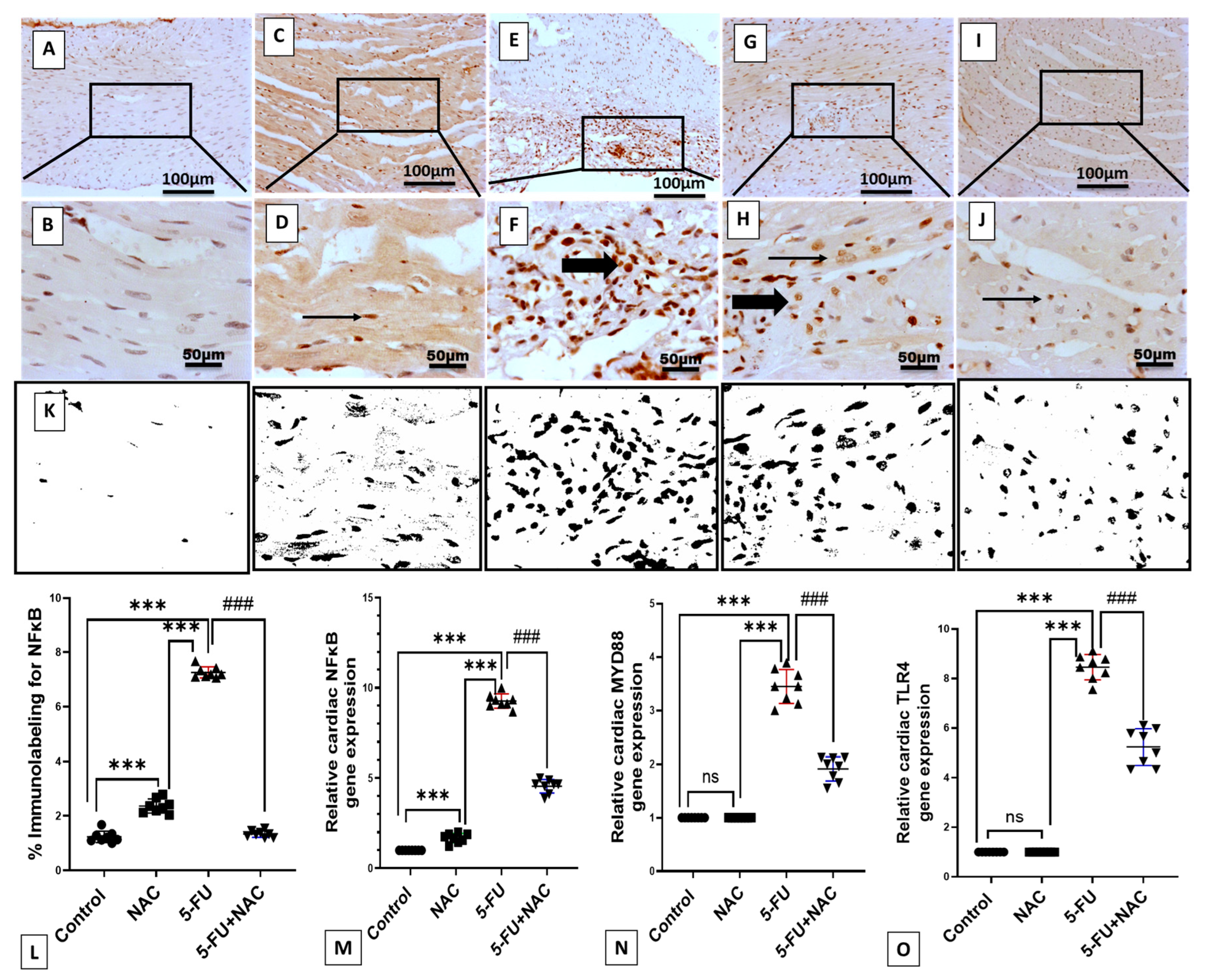 Medicina 61 00335 g005