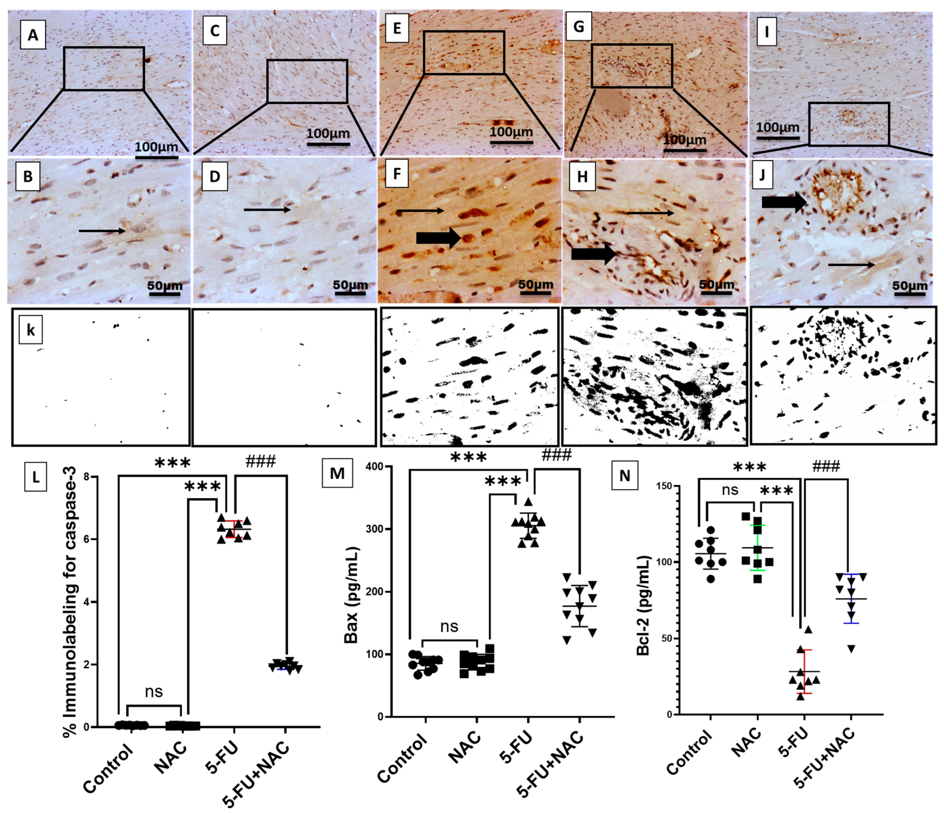 Medicina 61 00335 g007