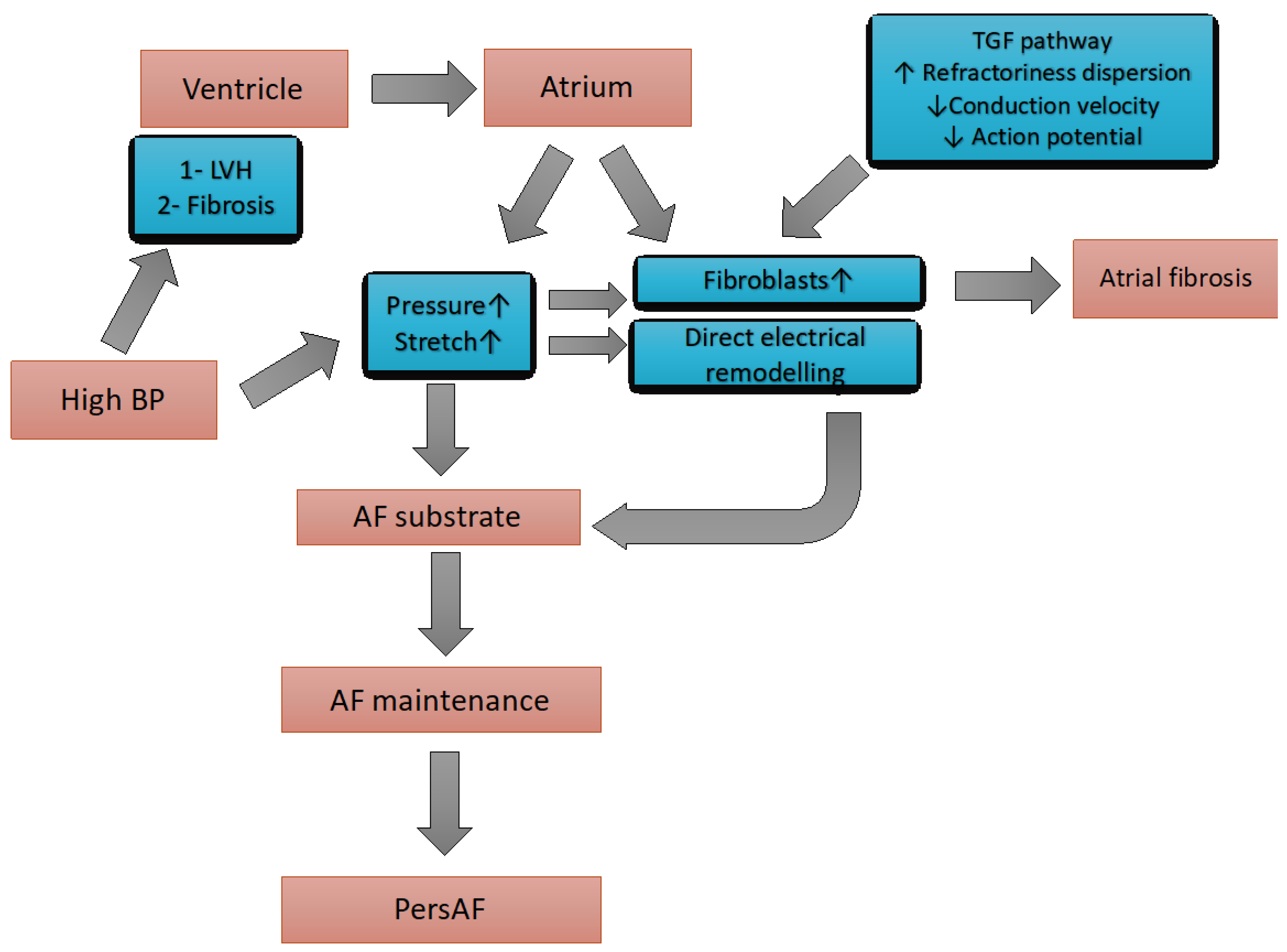 Medicina 61 00362 g001 Medicina 61 00362 g001