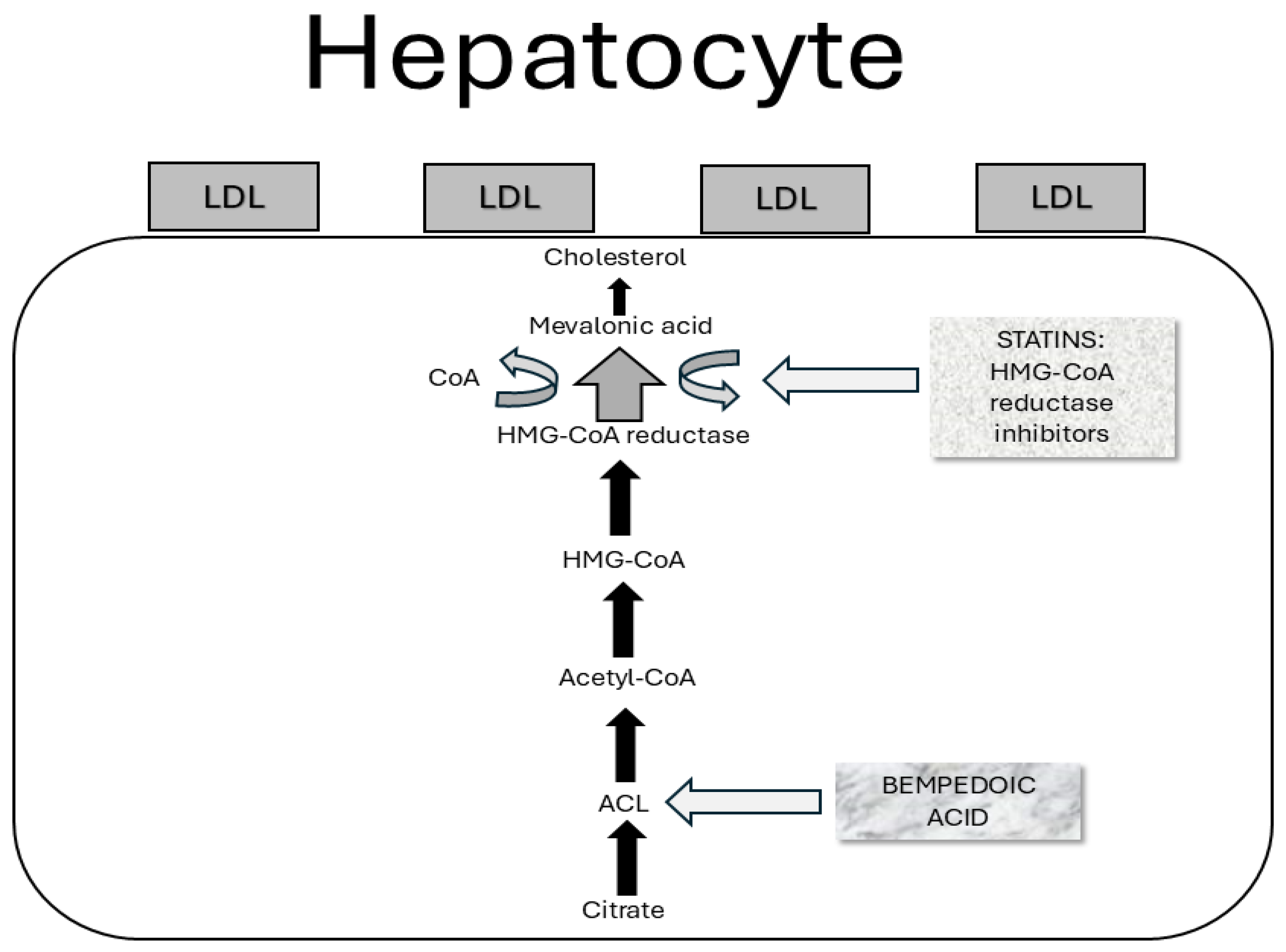 Medicina 61 00387 g003