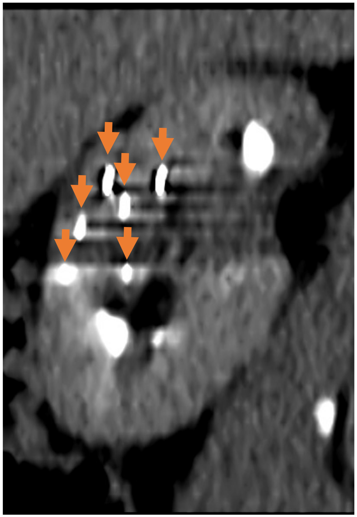 Medicina 61 00438 g002
