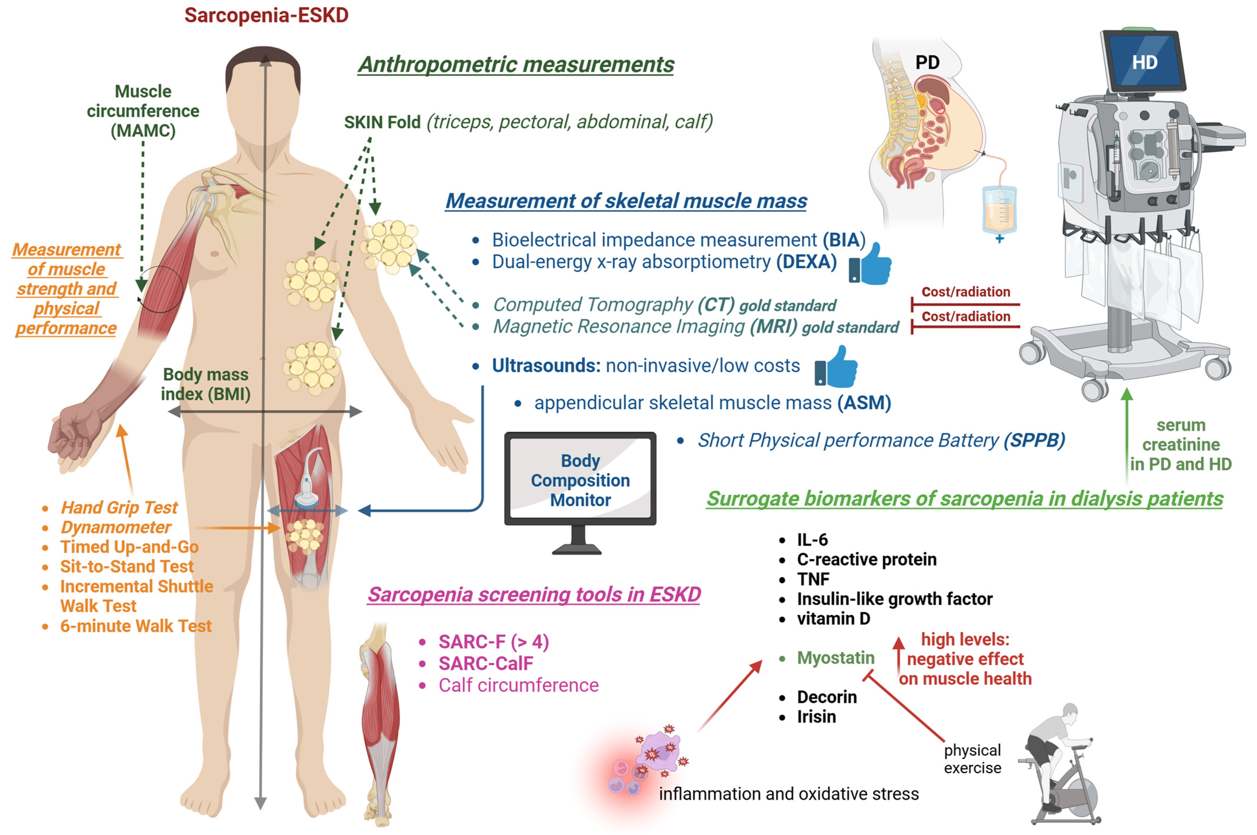 Medicina 61 00449 g002