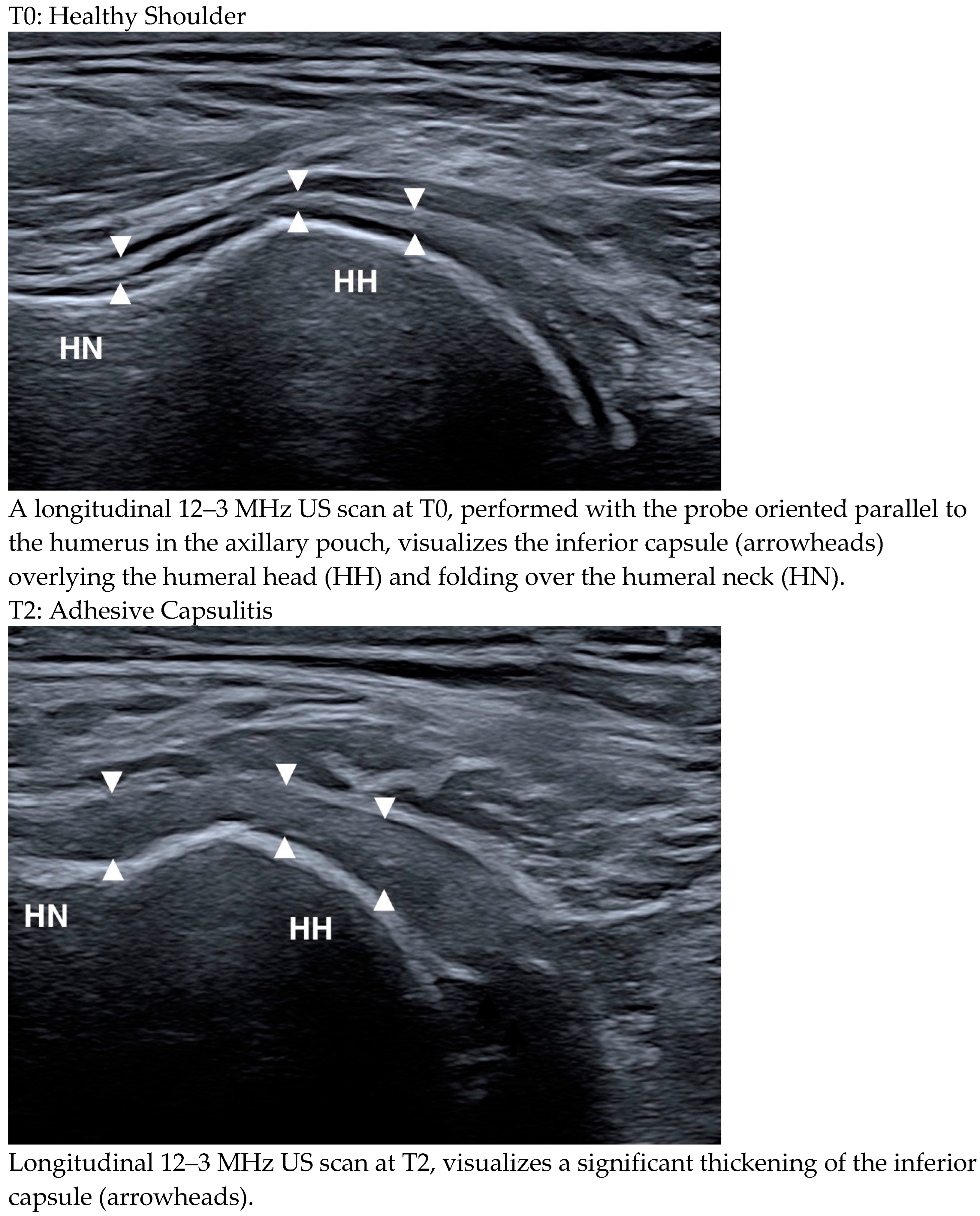 Medicina 61 00484 g002