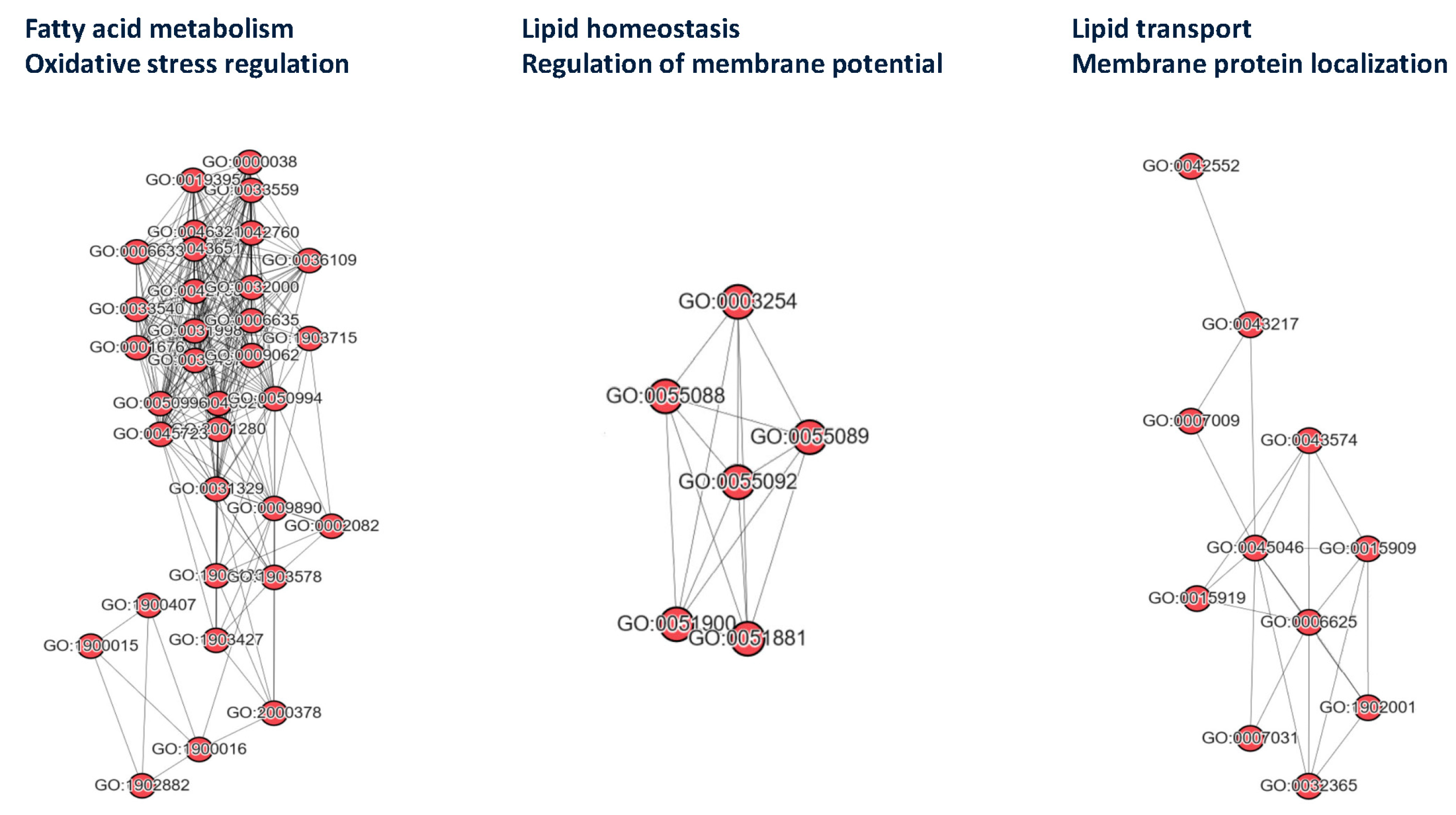 Medicina 61 00486 g003