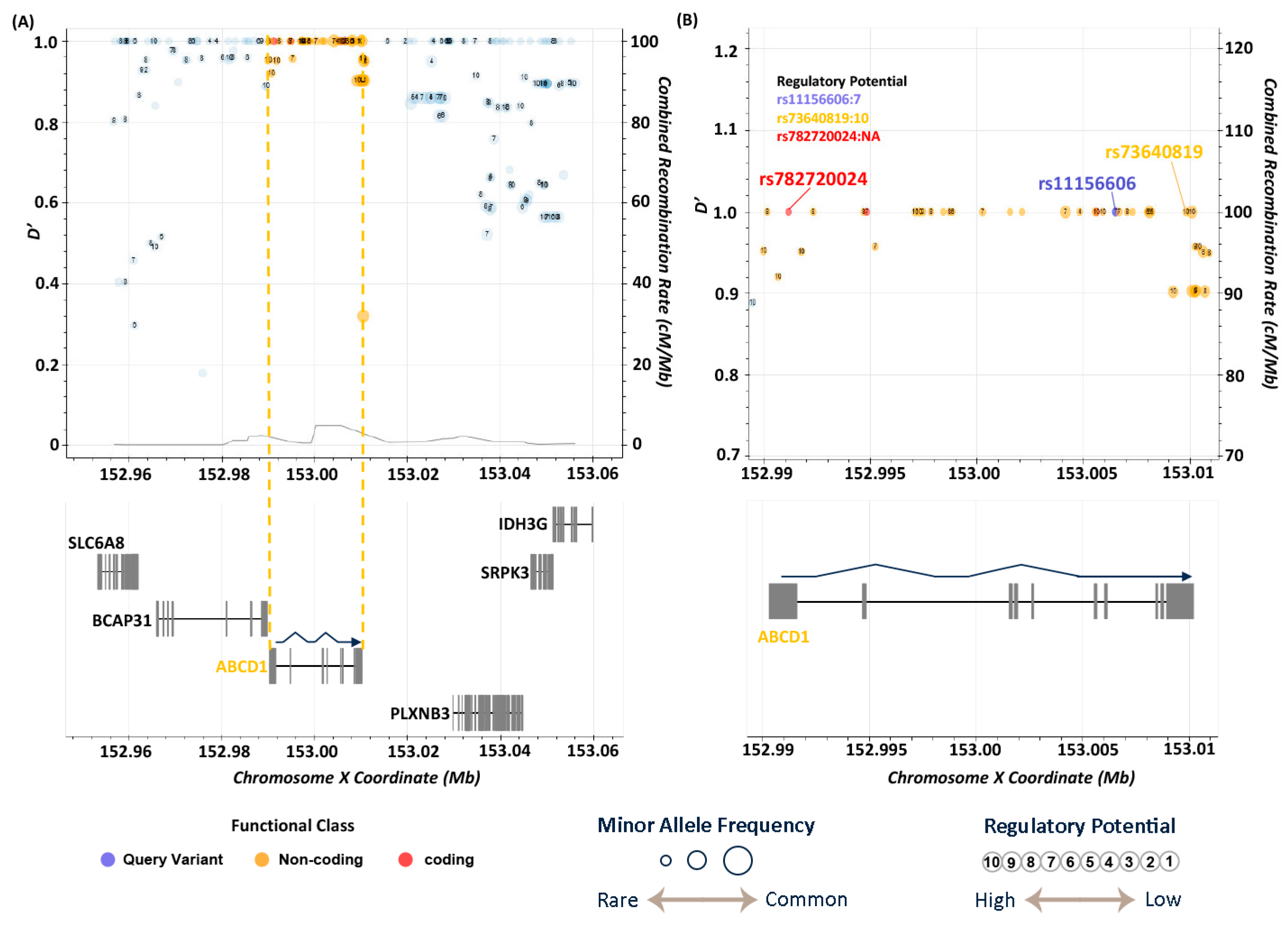 Medicina 61 00486 g004