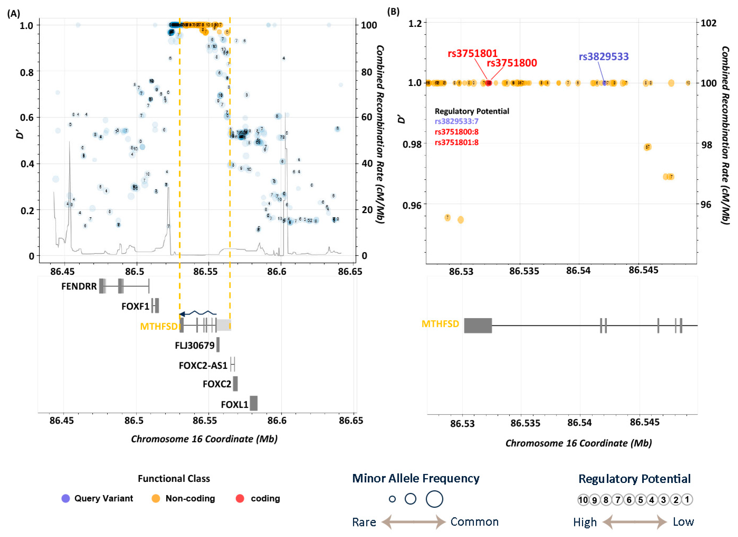 Medicina 61 00486 g005