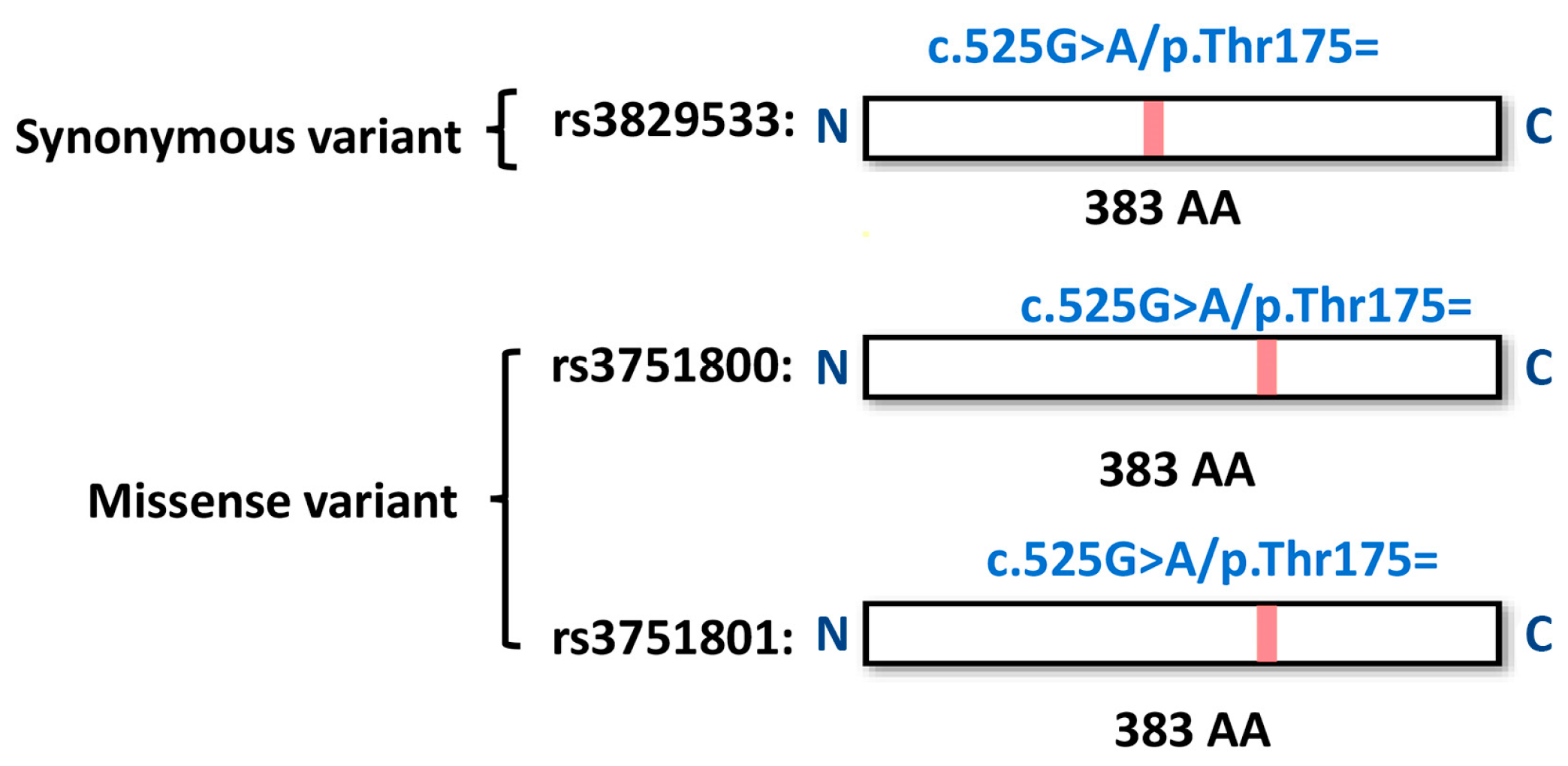 Medicina 61 00486 g006