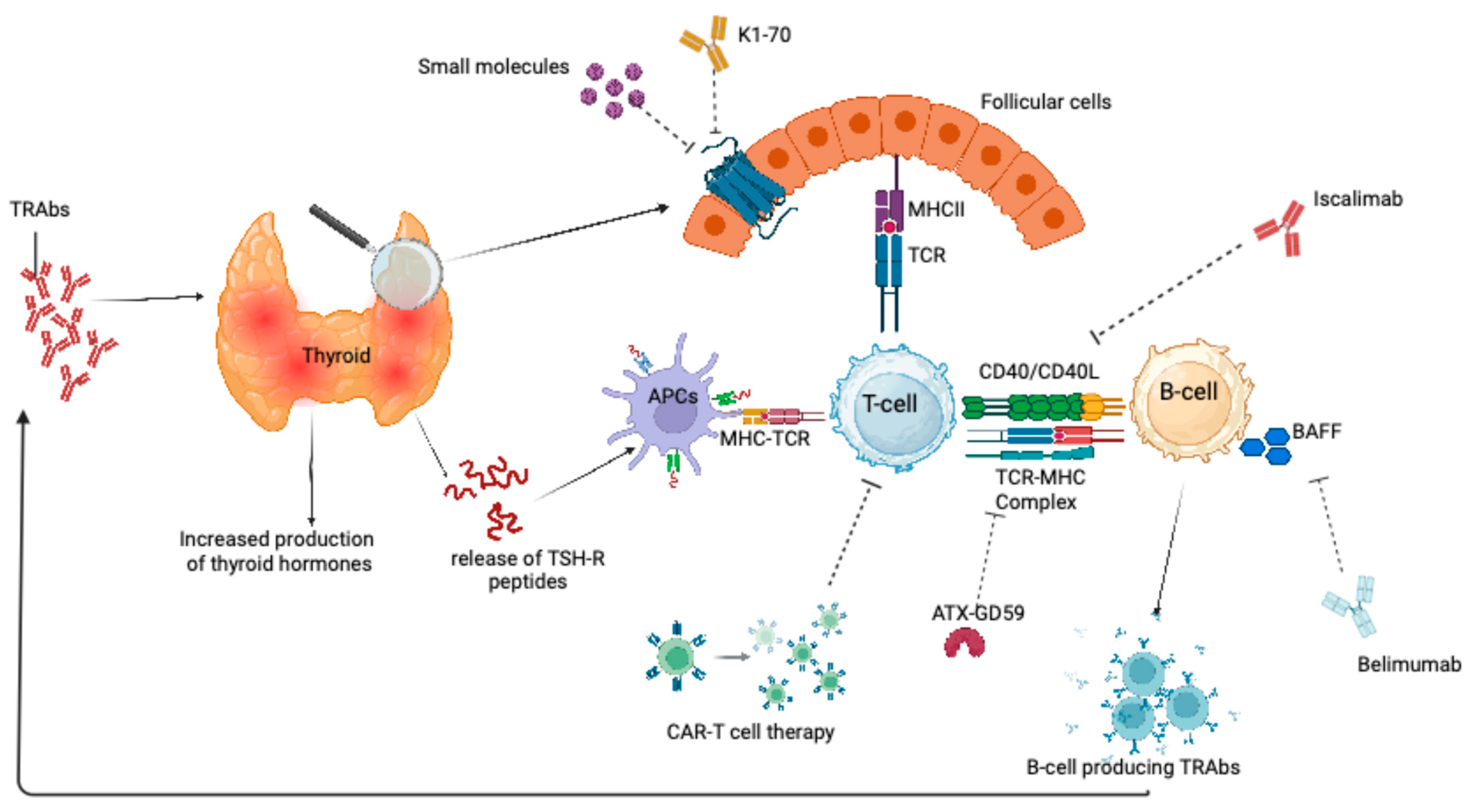 Medicina 61 00500 g001